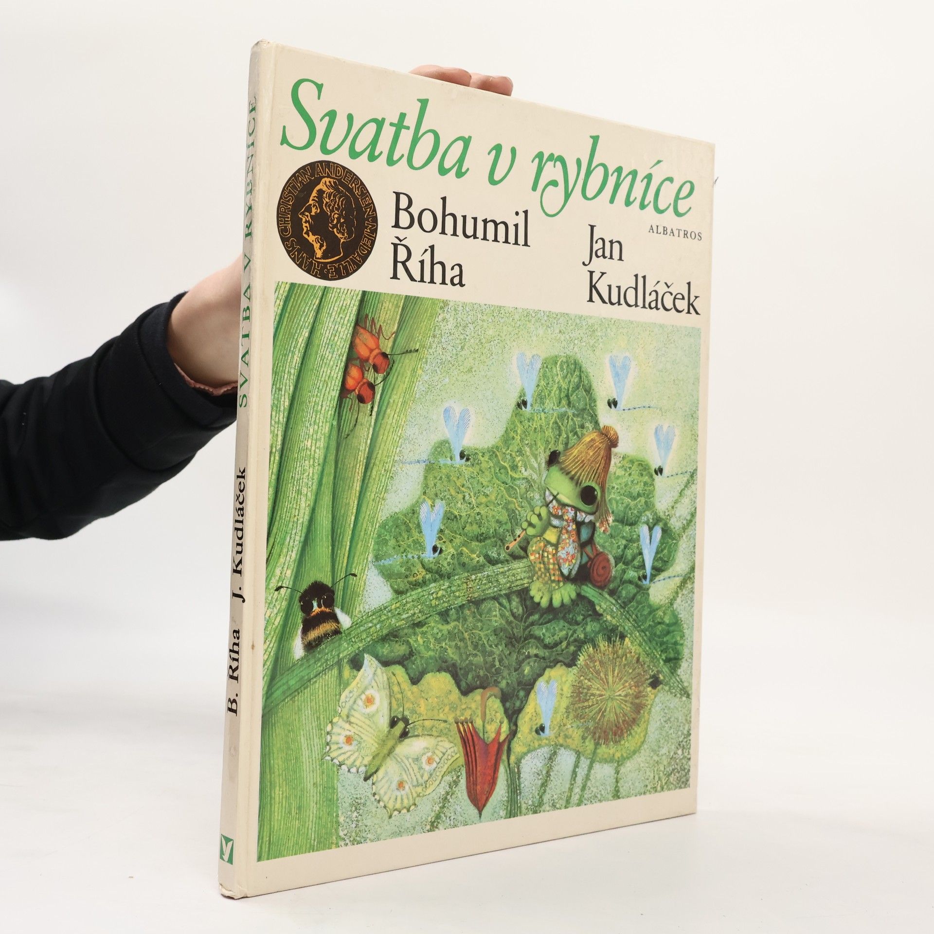 Bohumil Říha Svatba v rybníce