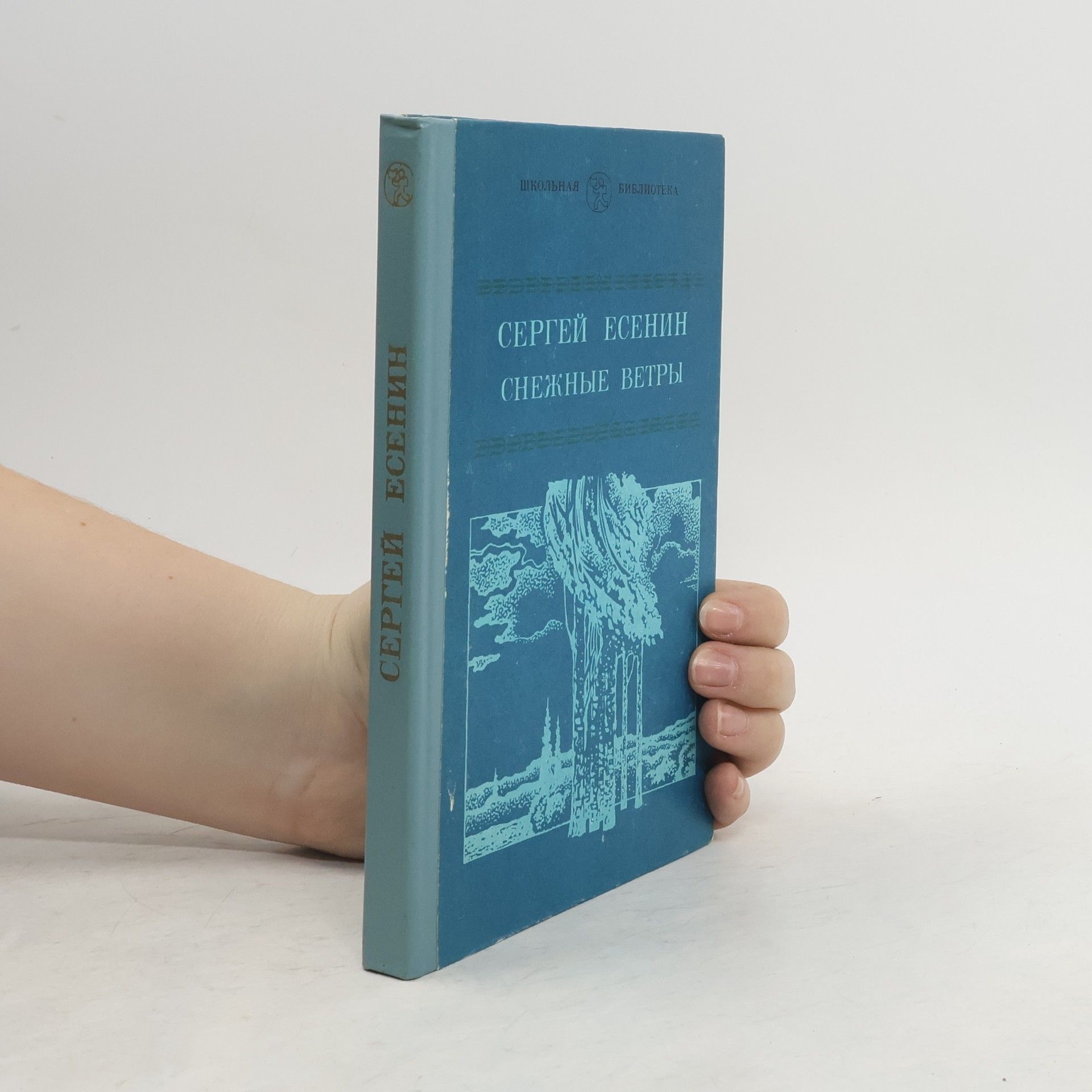 Sergei Alexandrowitsch Jessenin Снежные ветры