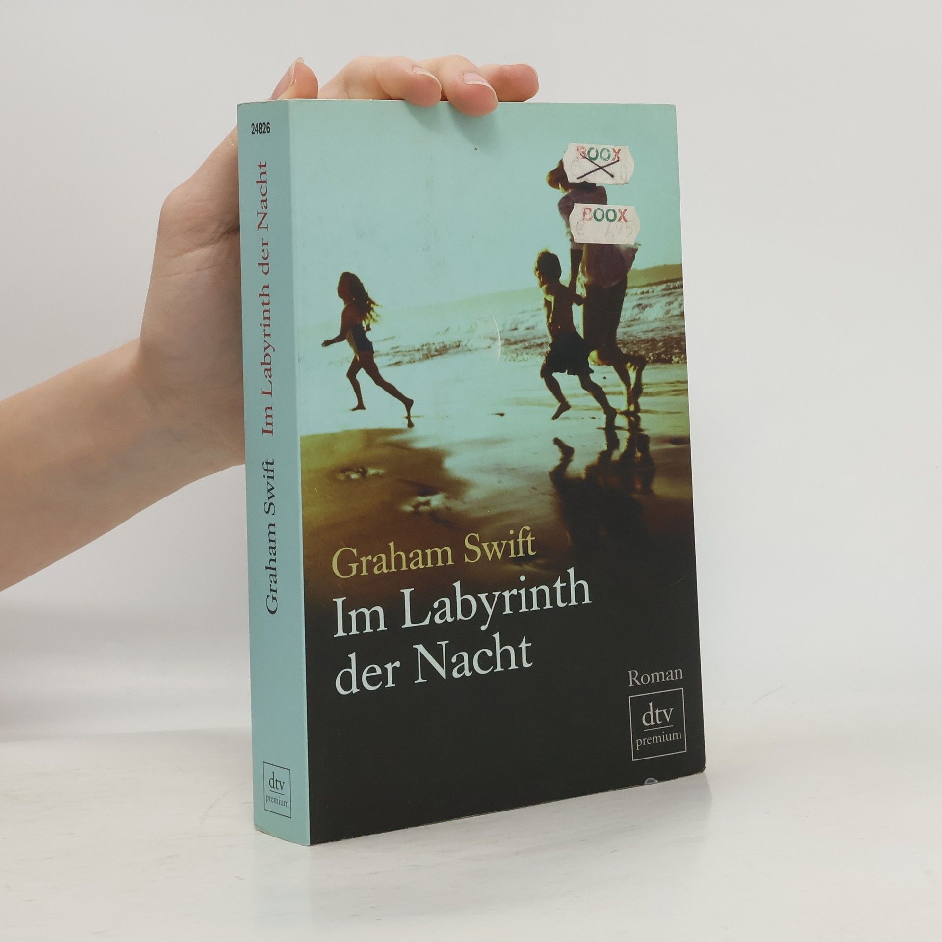 Graham Swift Im Labyrinth der Nacht