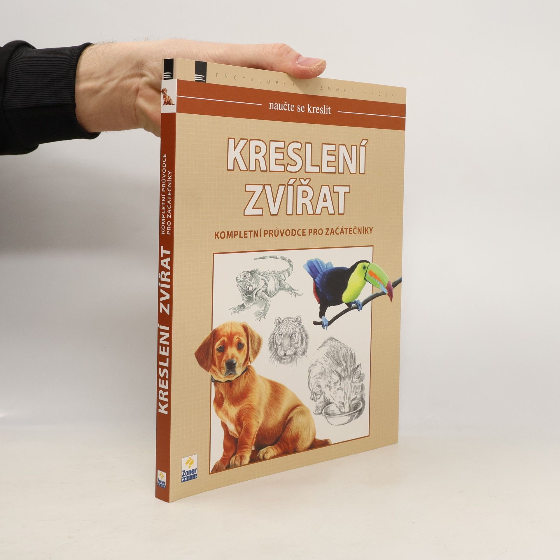 Autorenkollektiv Naučte se kreslit - Kreslení zvířat