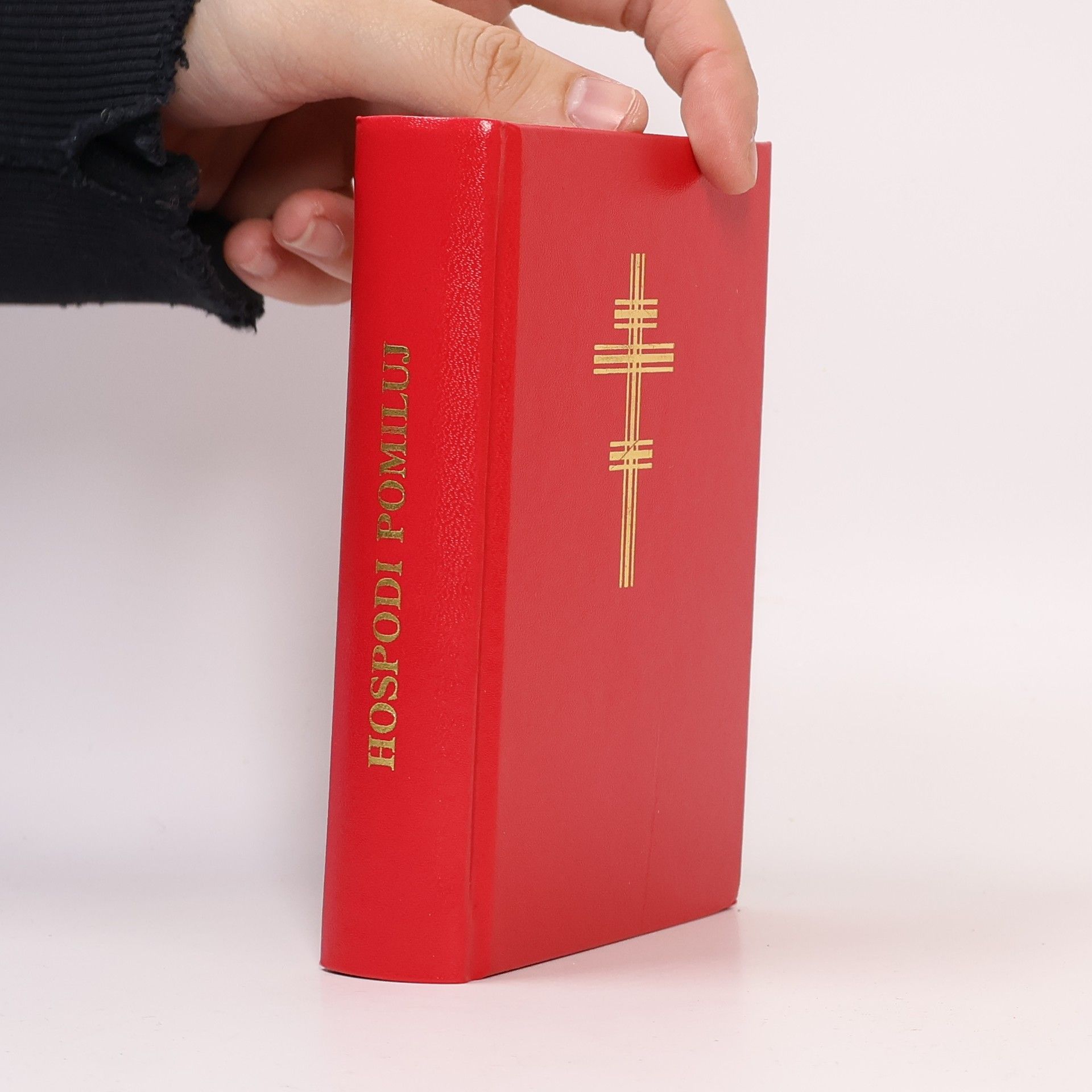 Autorenkollektiv Hospodi pomiluj (2024)