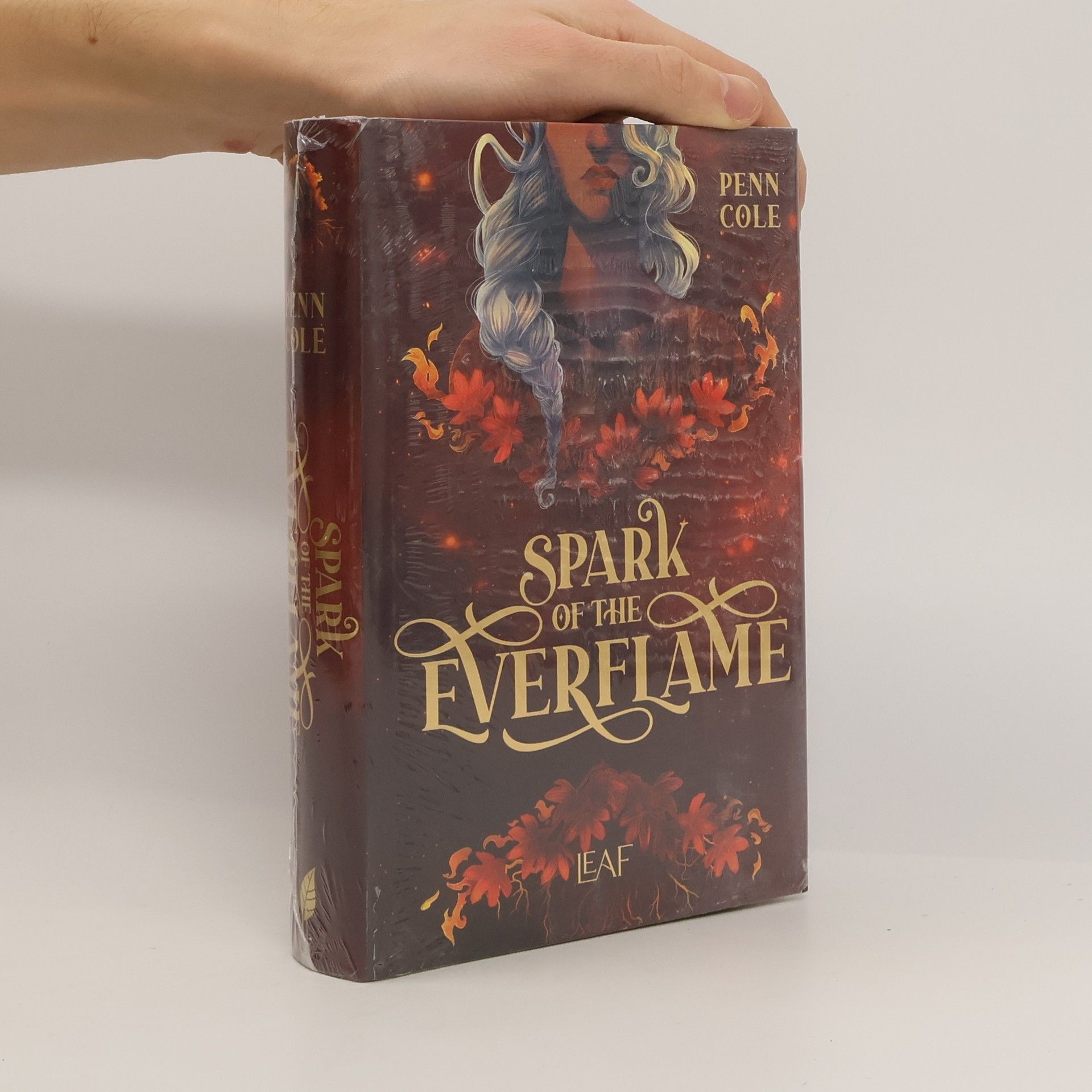 Penn Cole Spark of the Everflame / Kindred´s Curse Saga Bd.1