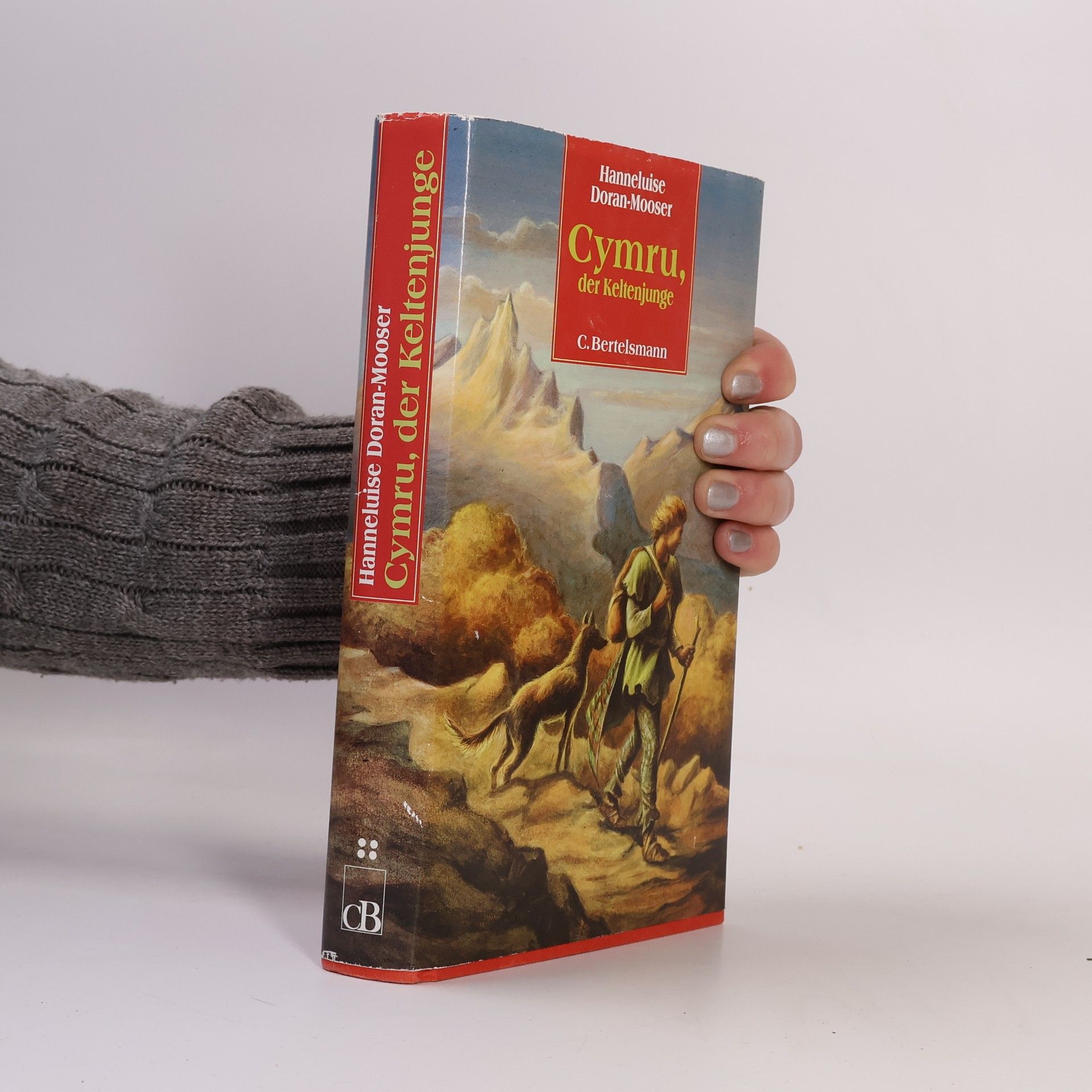 Hanneluise H. Doran Mooser Cymru, der Keltenjunge