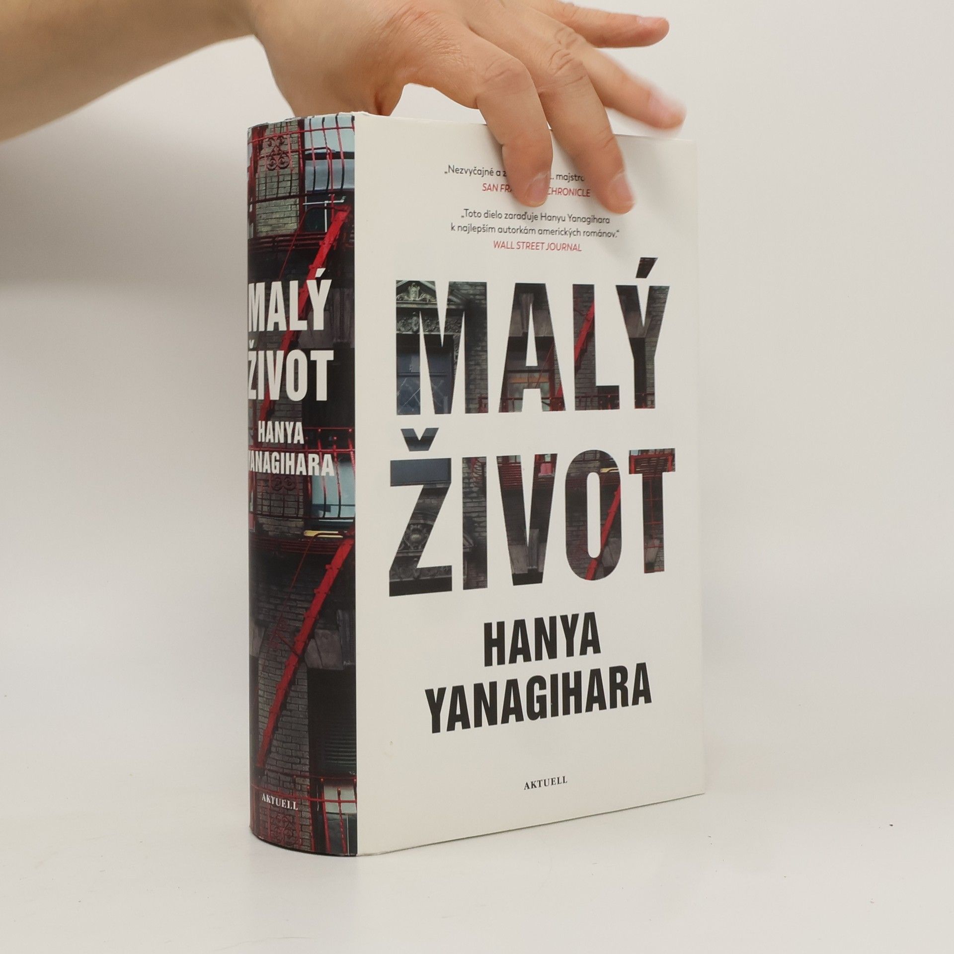Hanya Yanagihara Malý život