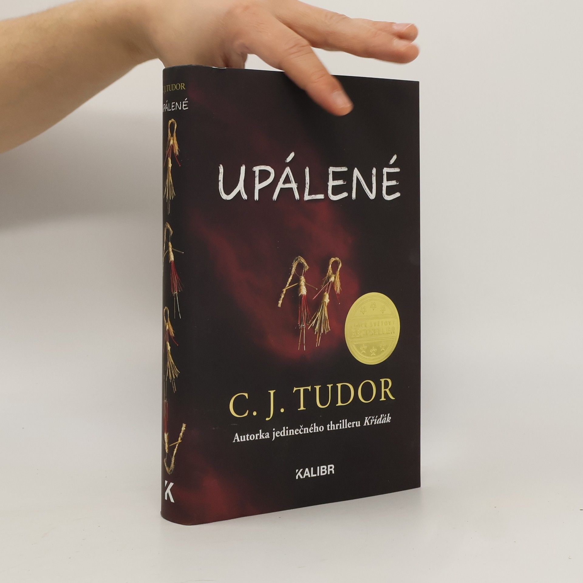 C. J. Tudor Upálené