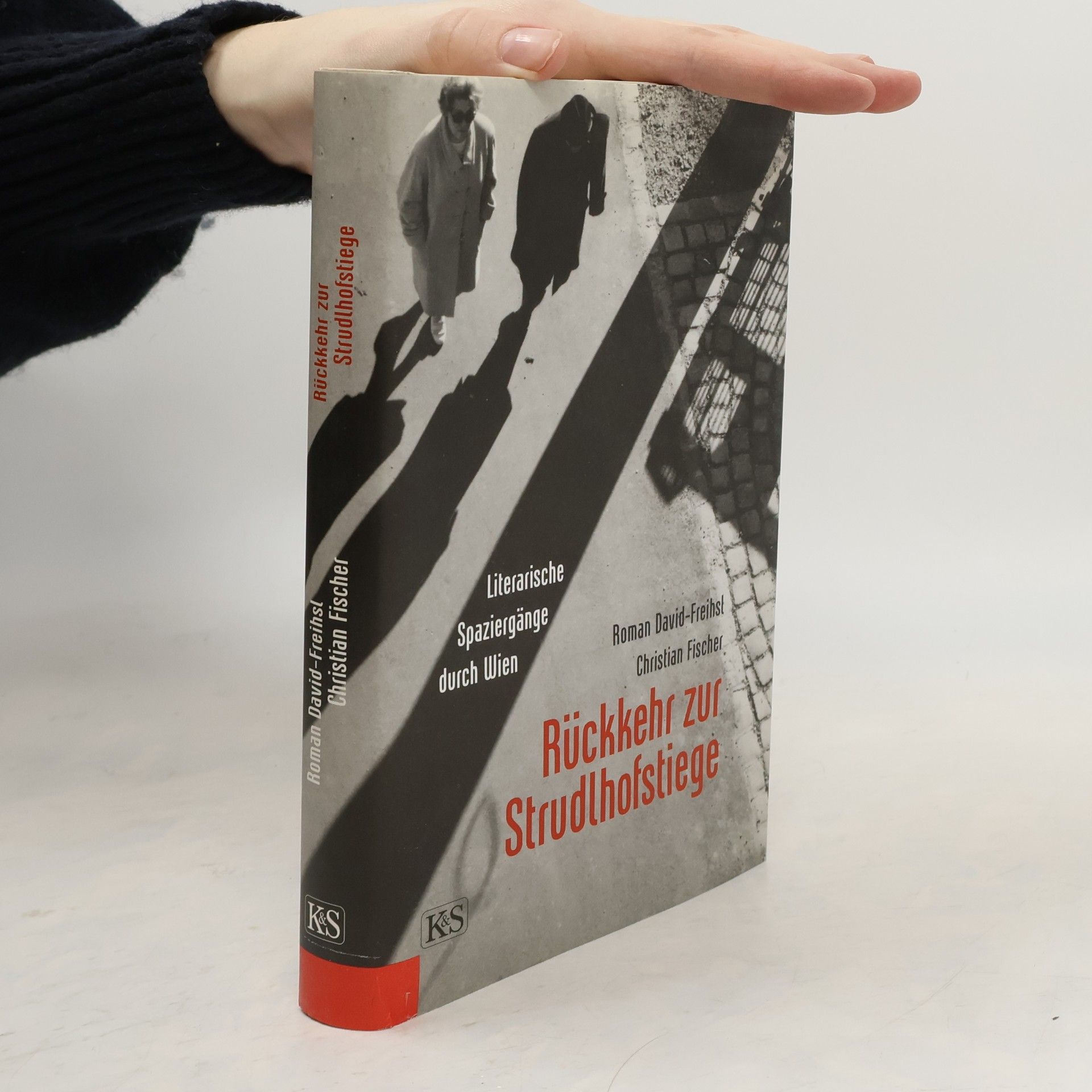 Rückkehr zur Strudlhofstiege