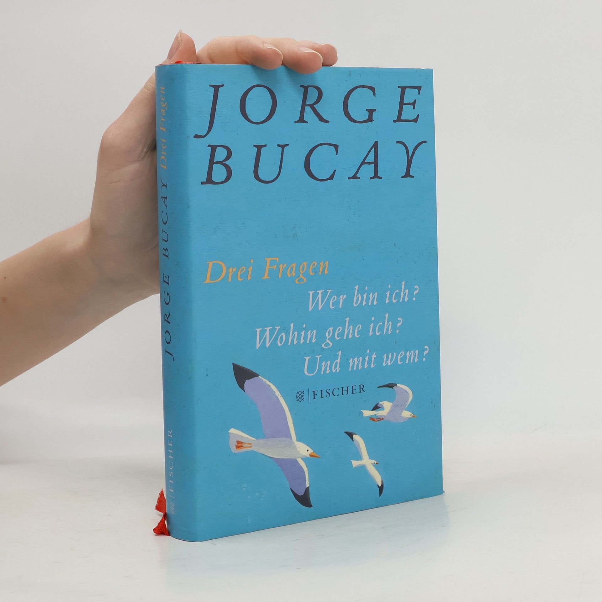 Jorge Bucay Drei Fragen