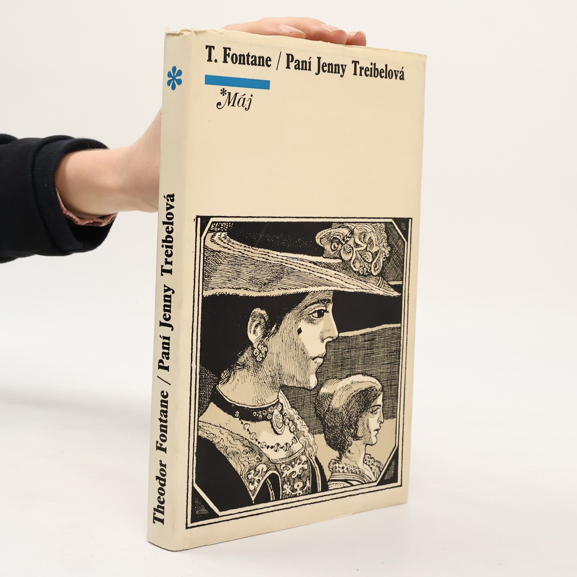 Theodor Fontane Paní Jenny Treibelová