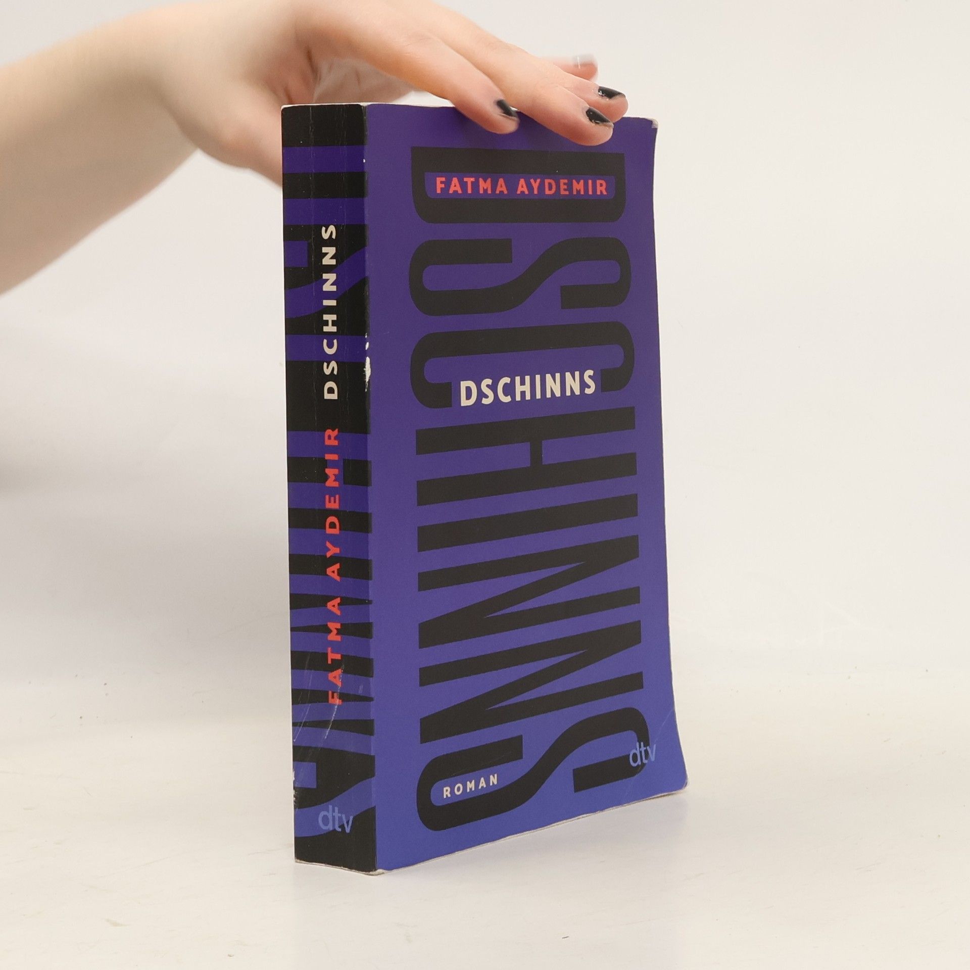 Fatma Aydemir Dschinns