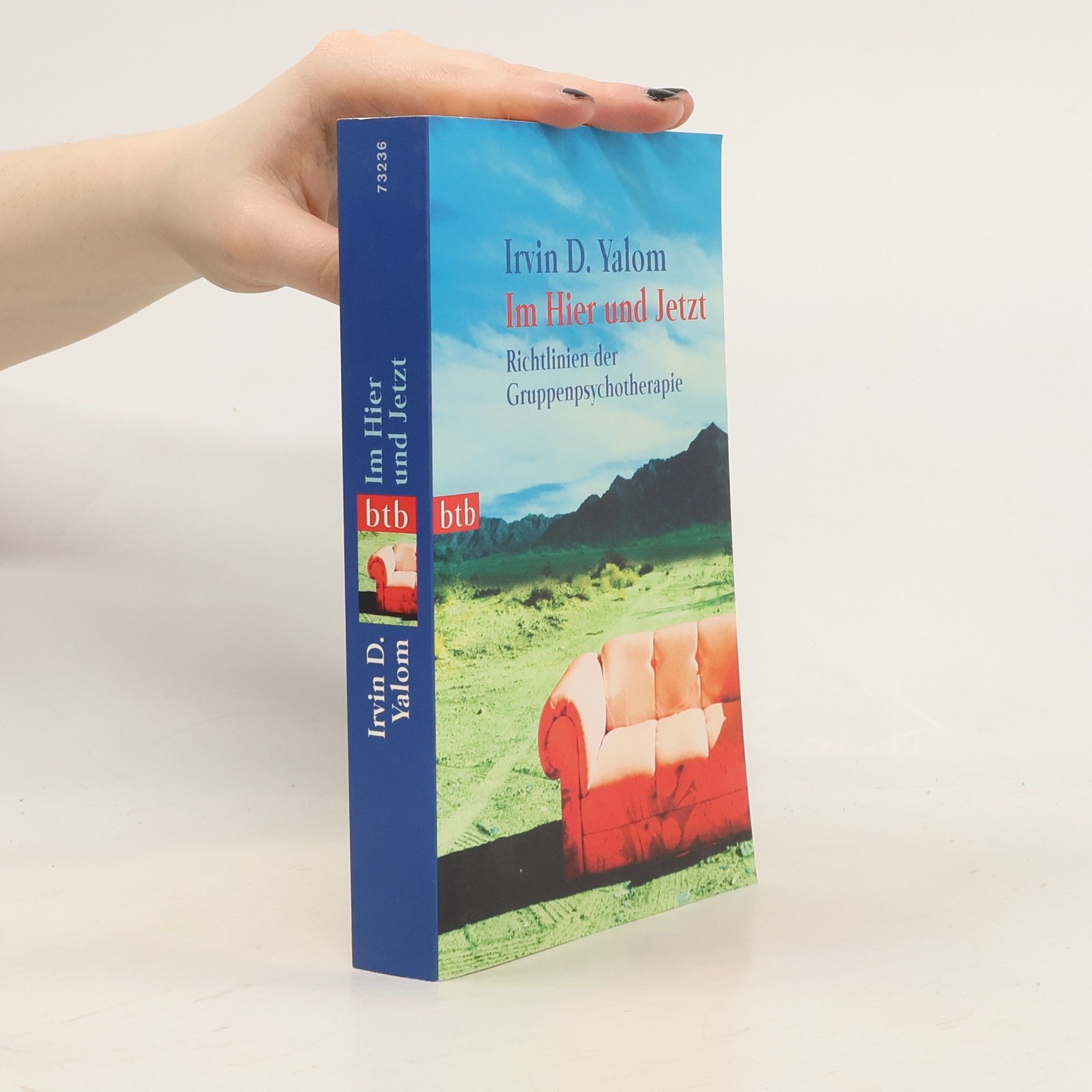Irvin Yalom Im Hier und Jetzt
