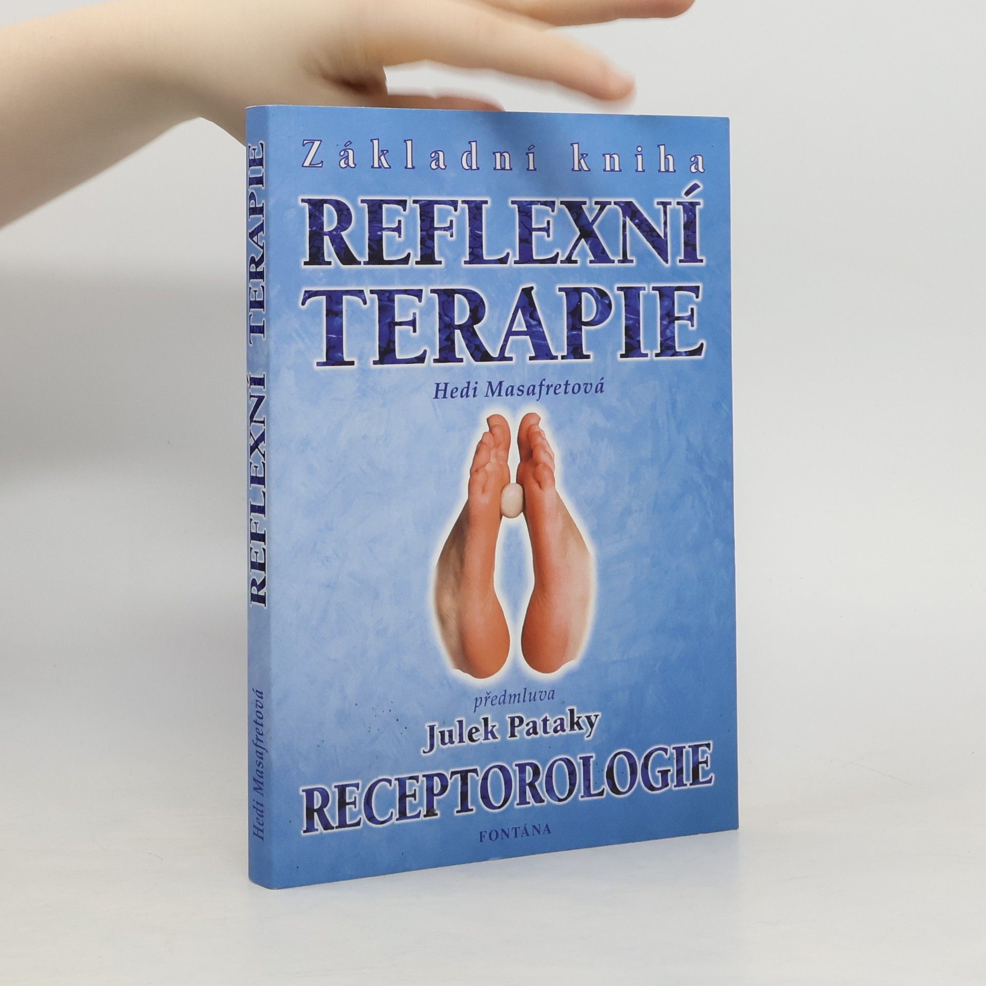 Hedi Masafret Základní kniha reflexní terapie