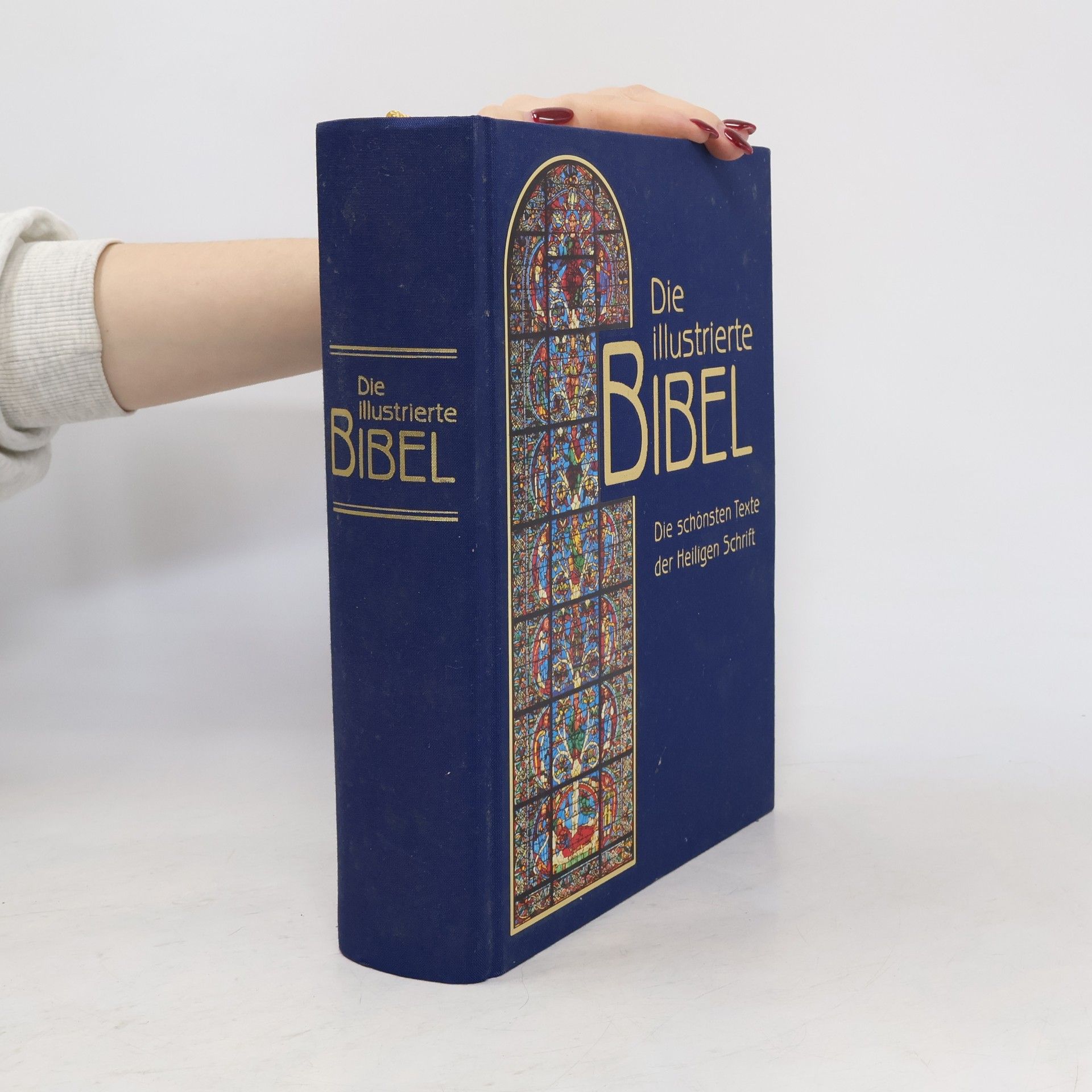 Die illustrierte Bibel