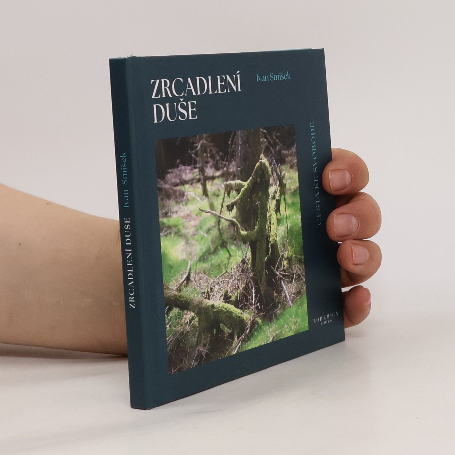 Ivan Smíšek Zrcadlení duše : cesta ke svobodě