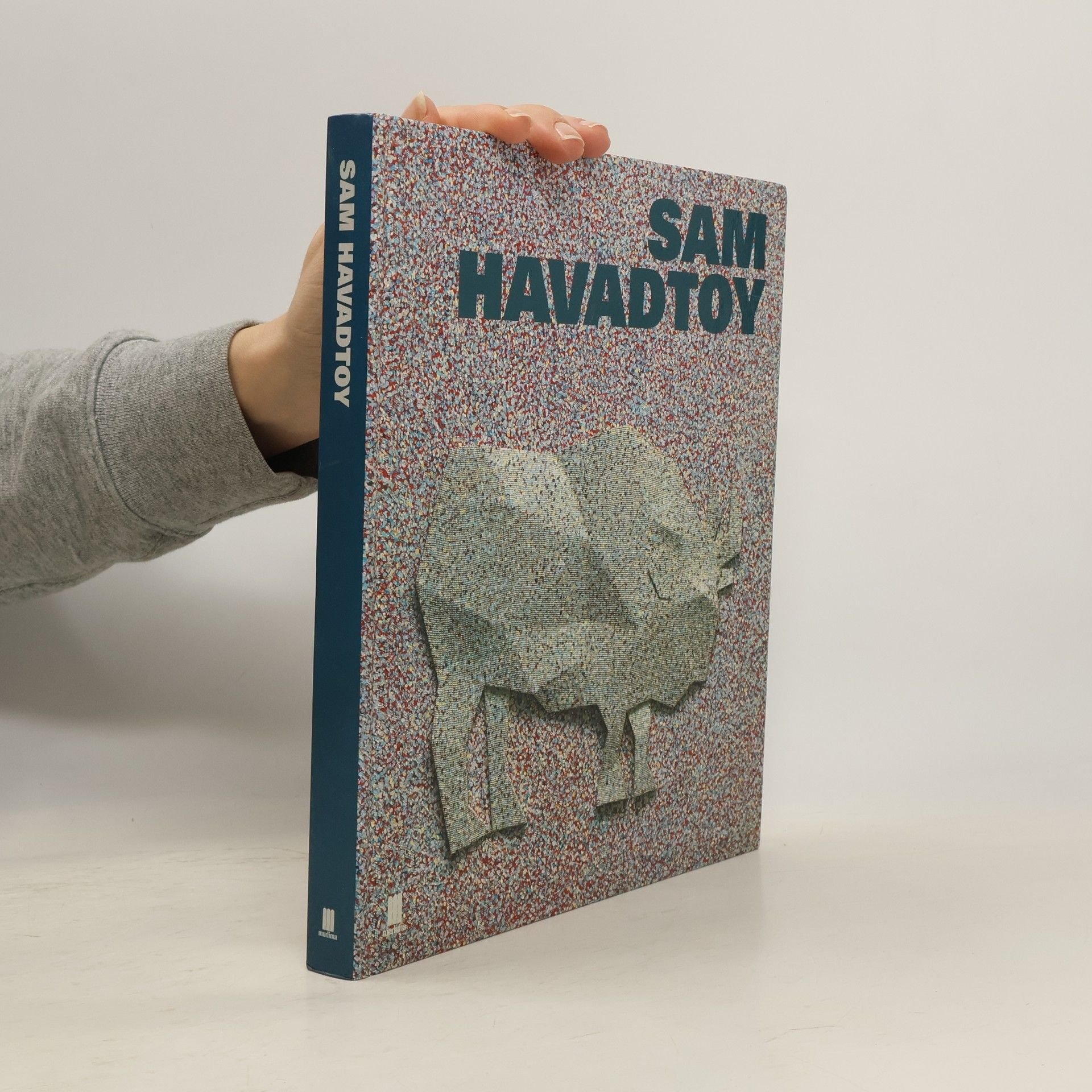 David Galloway Sam Havadtoy