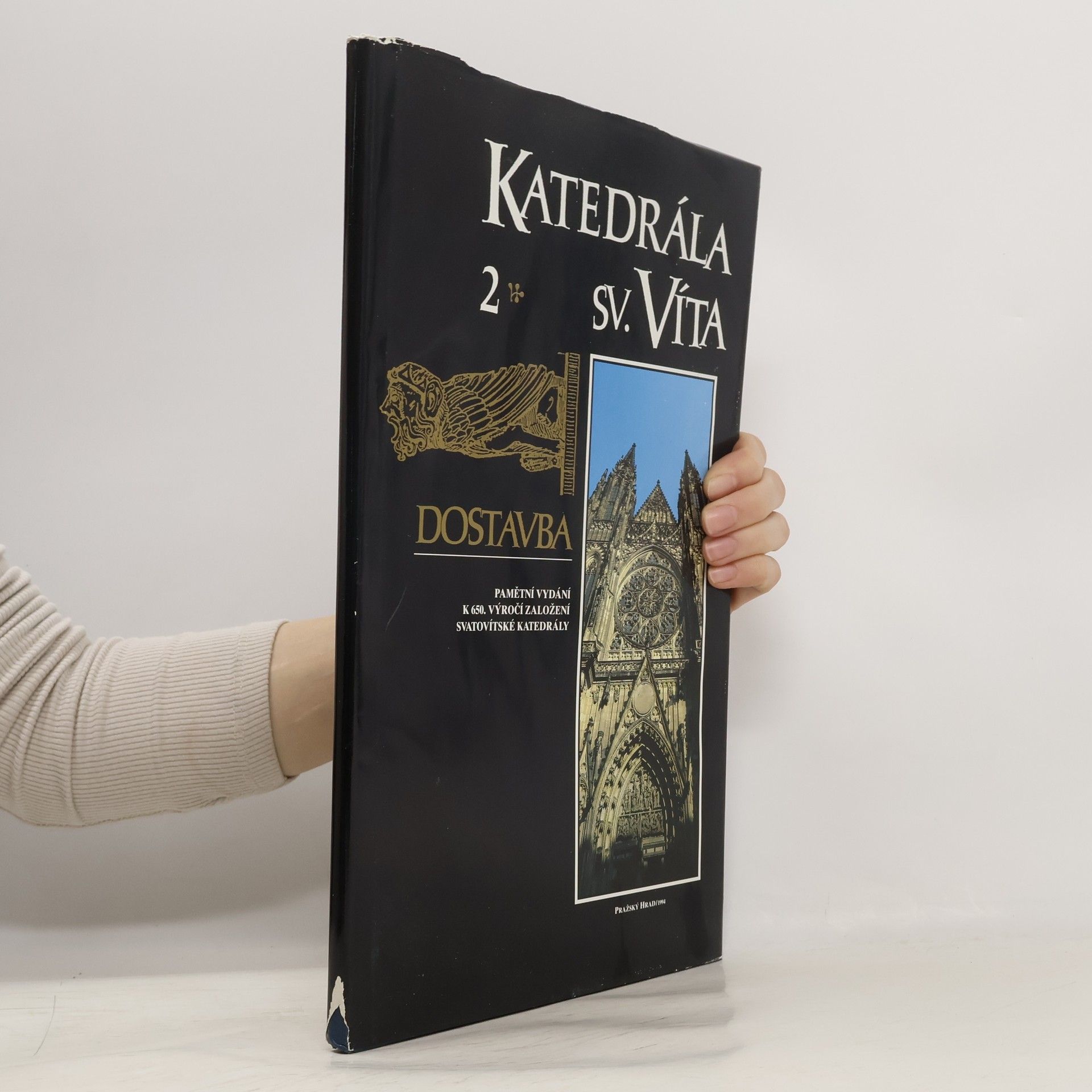 Autorenkollektiv Katedrála sv. Víta 2. Dostavba