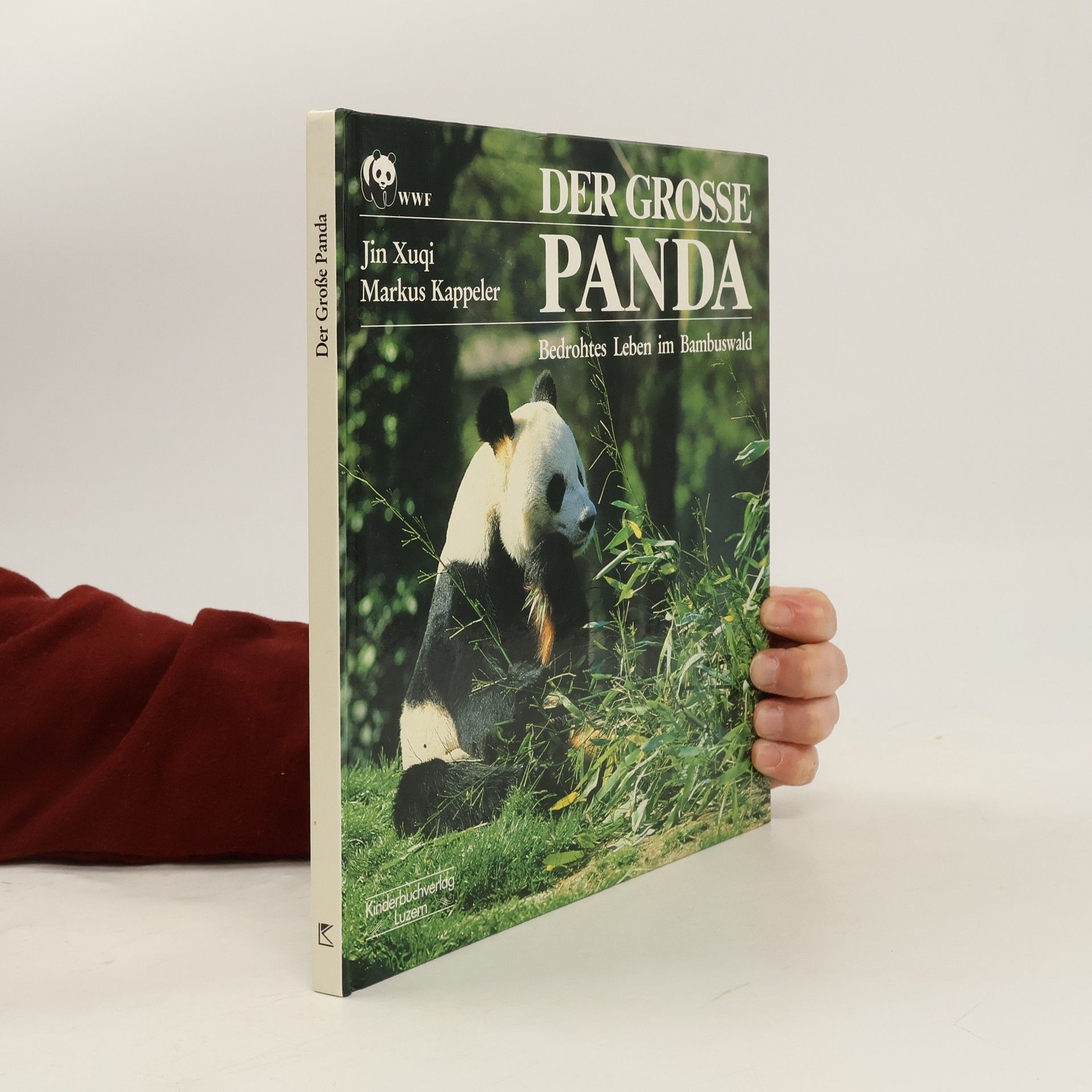 Jin Xuqi Der Grosse Panda