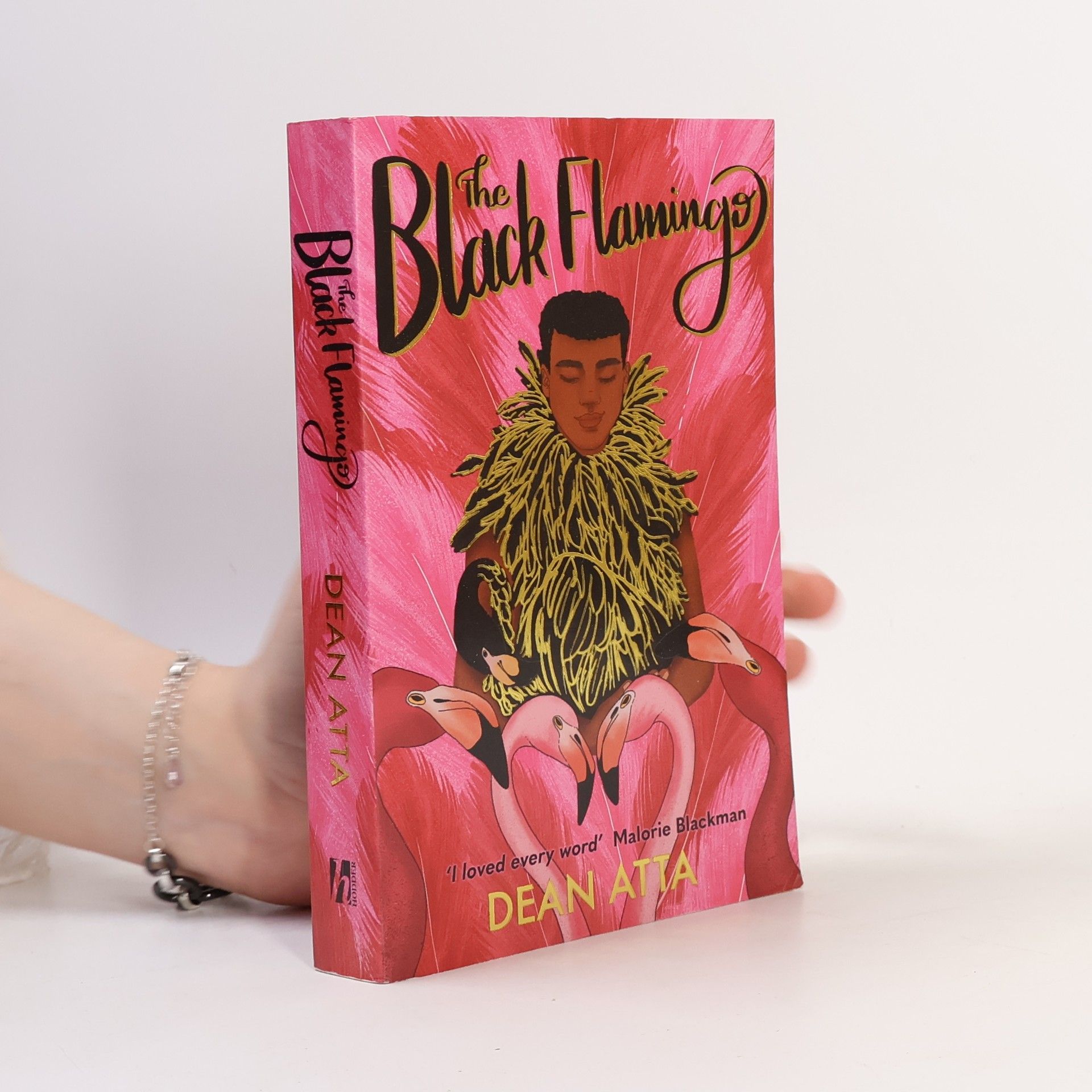 Dean Atta The Black Flamingo