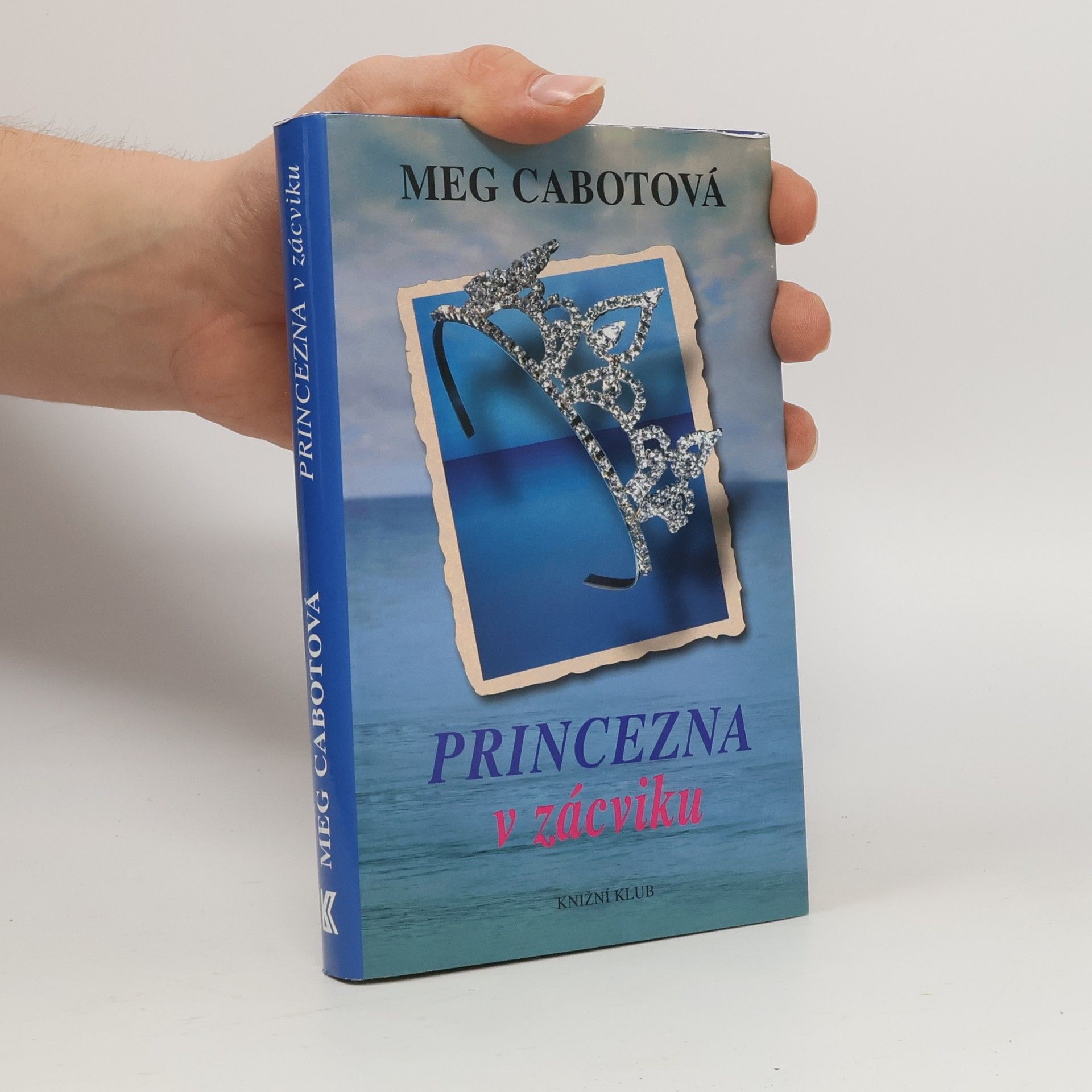 Princezna v zácviku