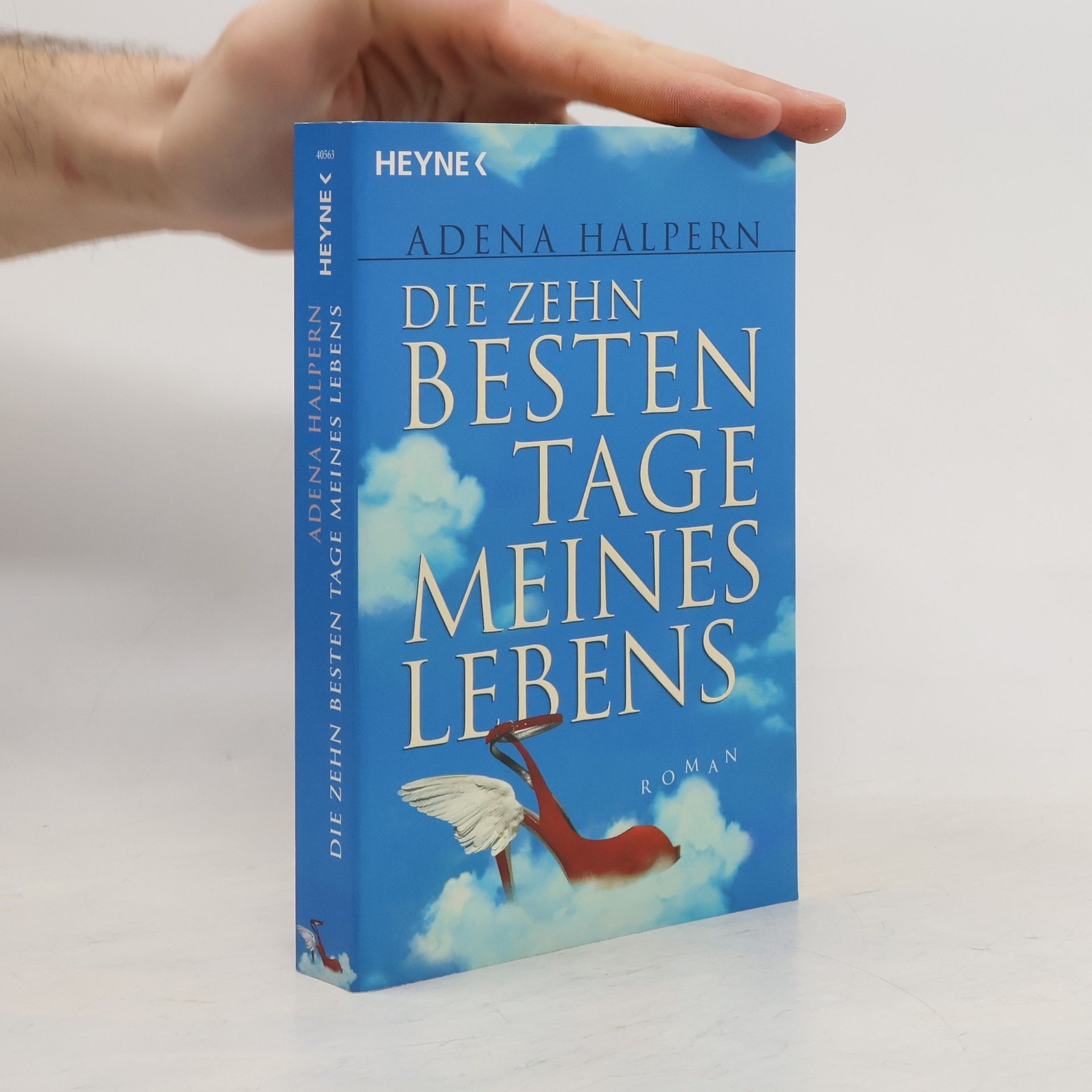 Adena Halpern Die zehn besten Tage meines Lebens