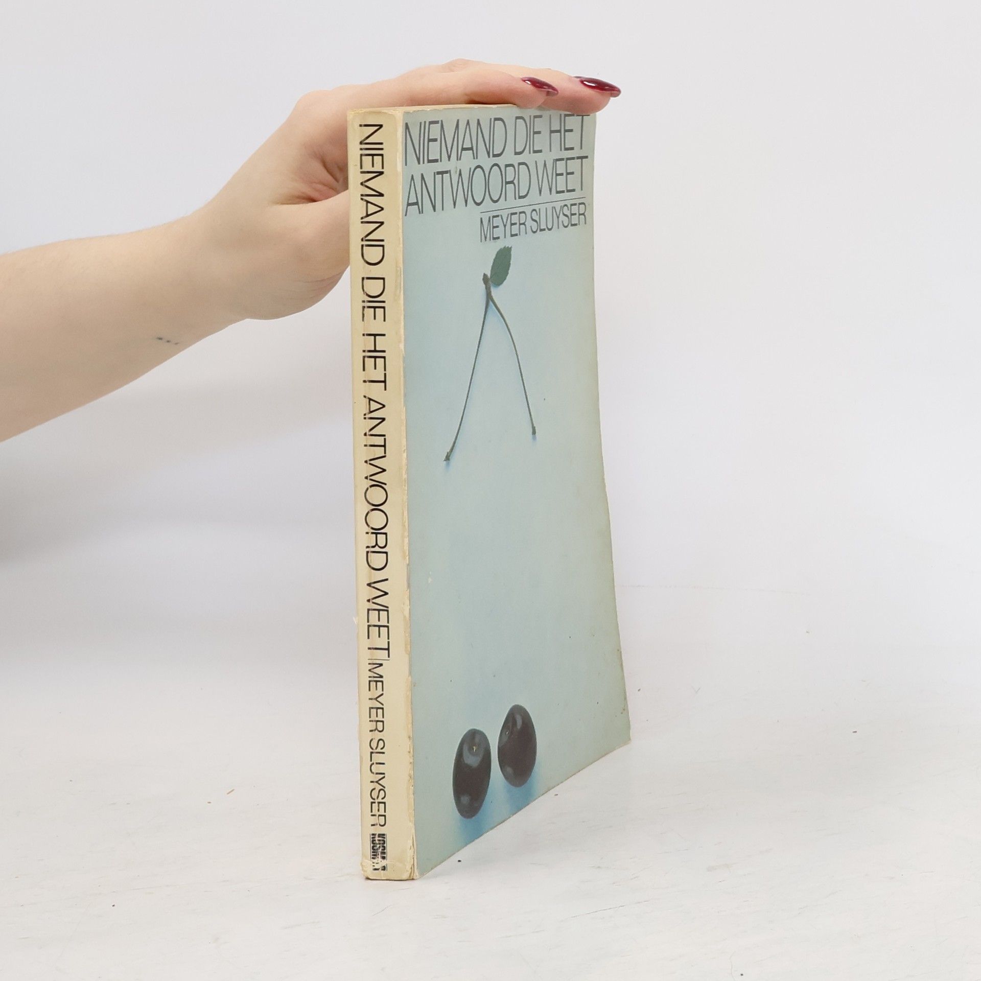 Meyer Sluyser Niemand die het antwoord weet