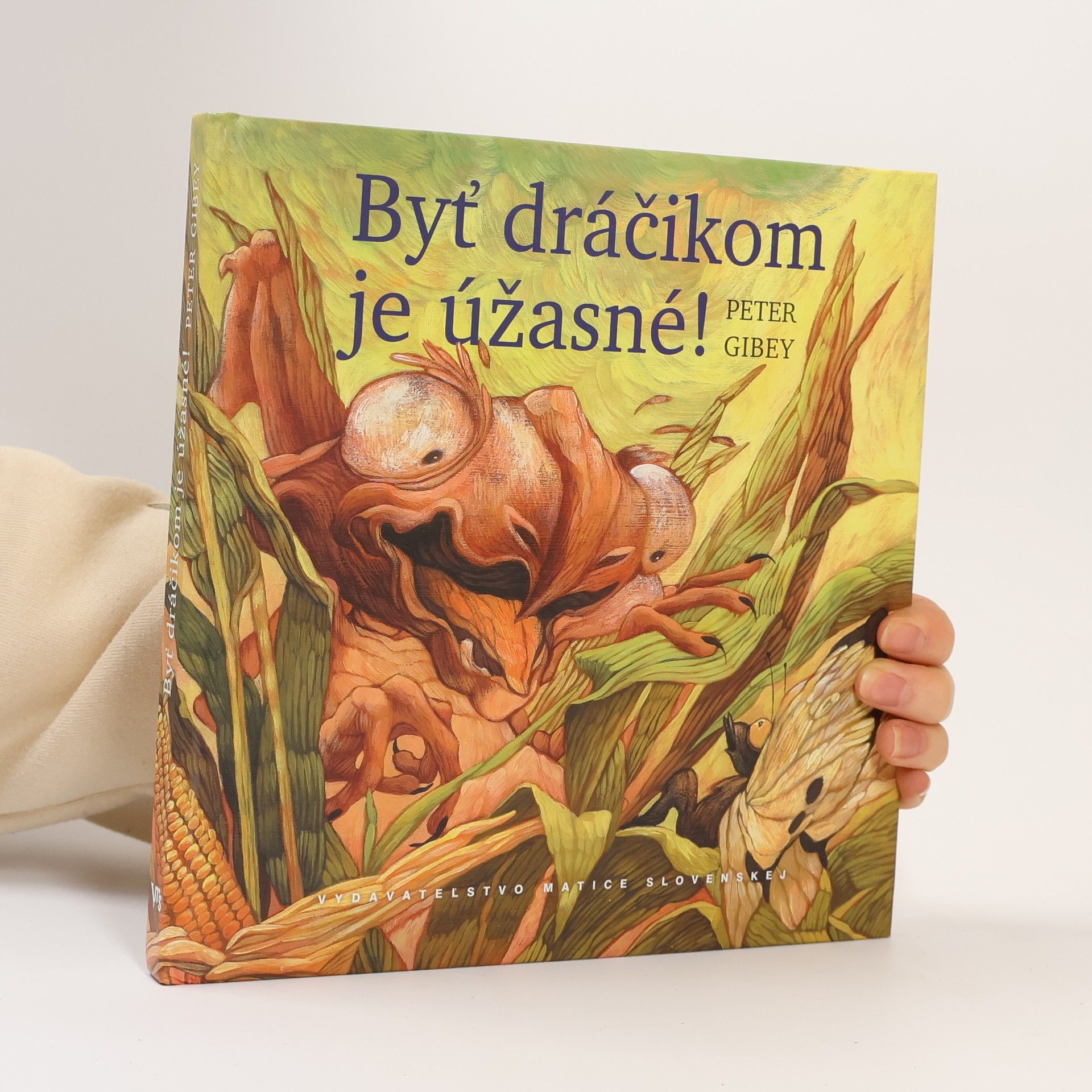 Peter Gibey Byť dráčikom je úžasné!