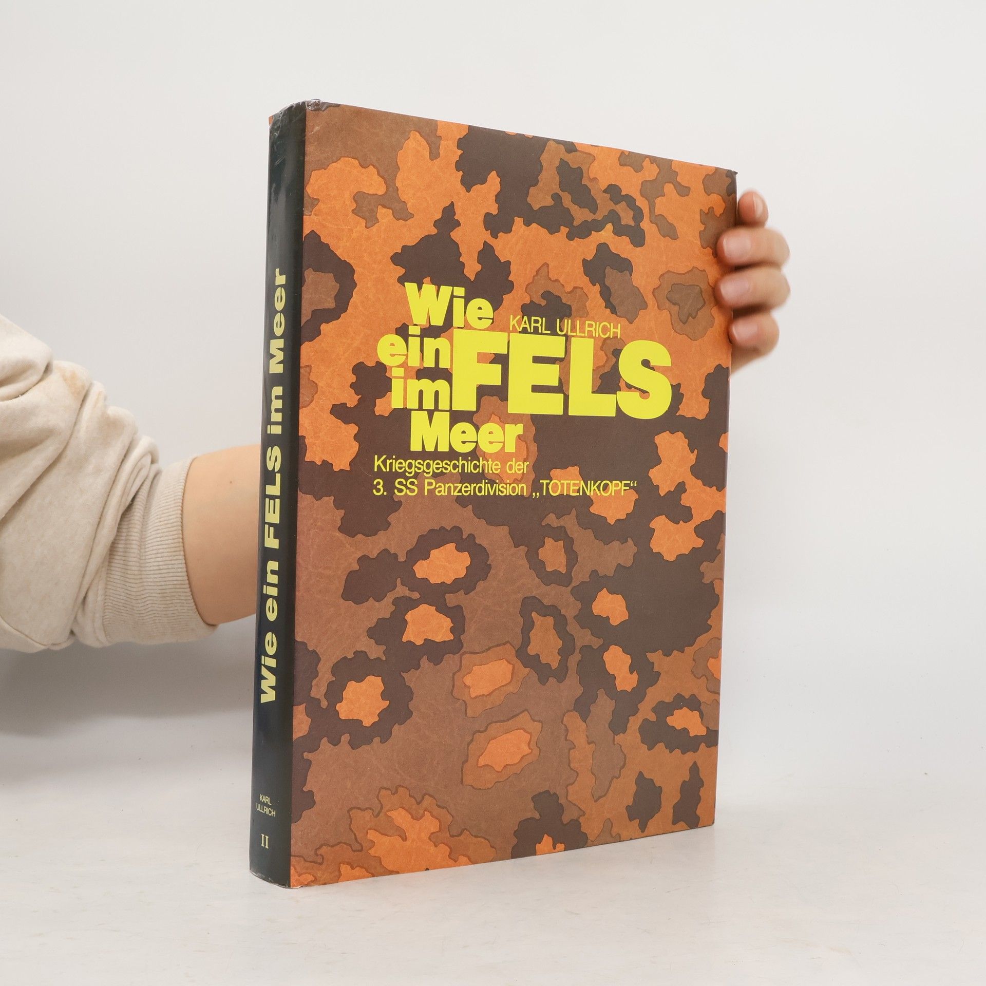 Karl Ullrich Wie ein Fels im Meer