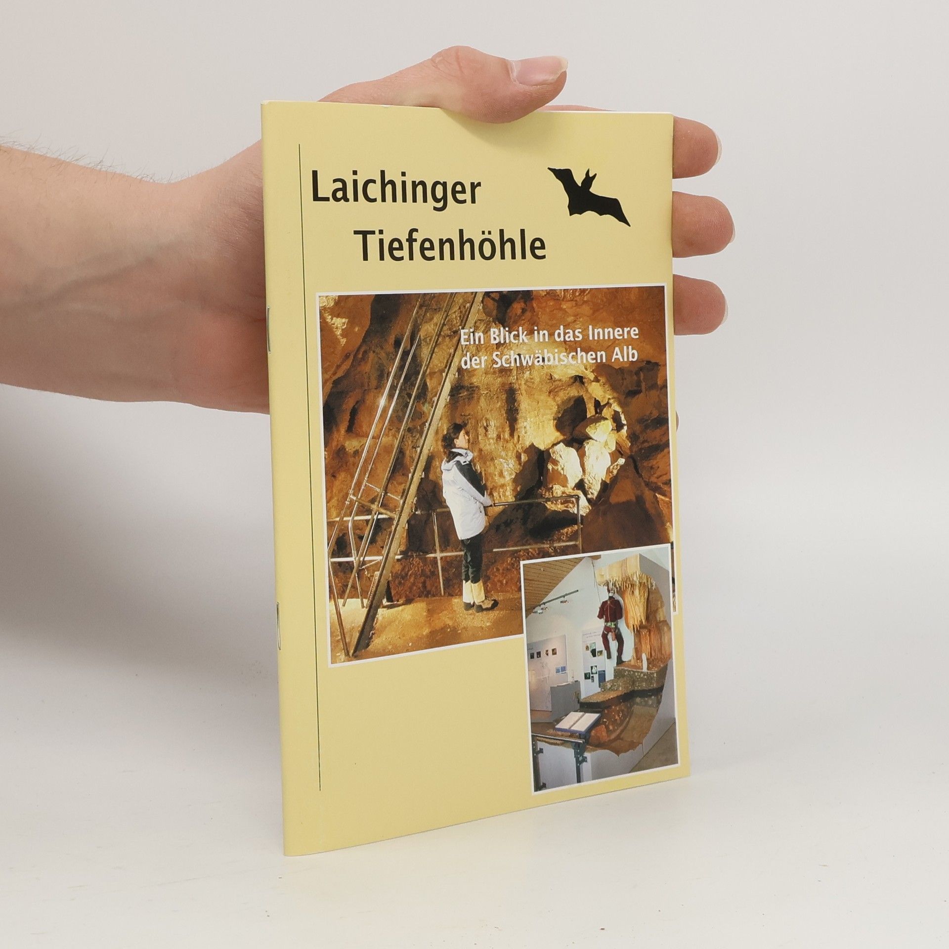 Autorenkollektiv Laichinger Tiefenhöhle - Ein Blick in das Innere der Schwäbischen Alb