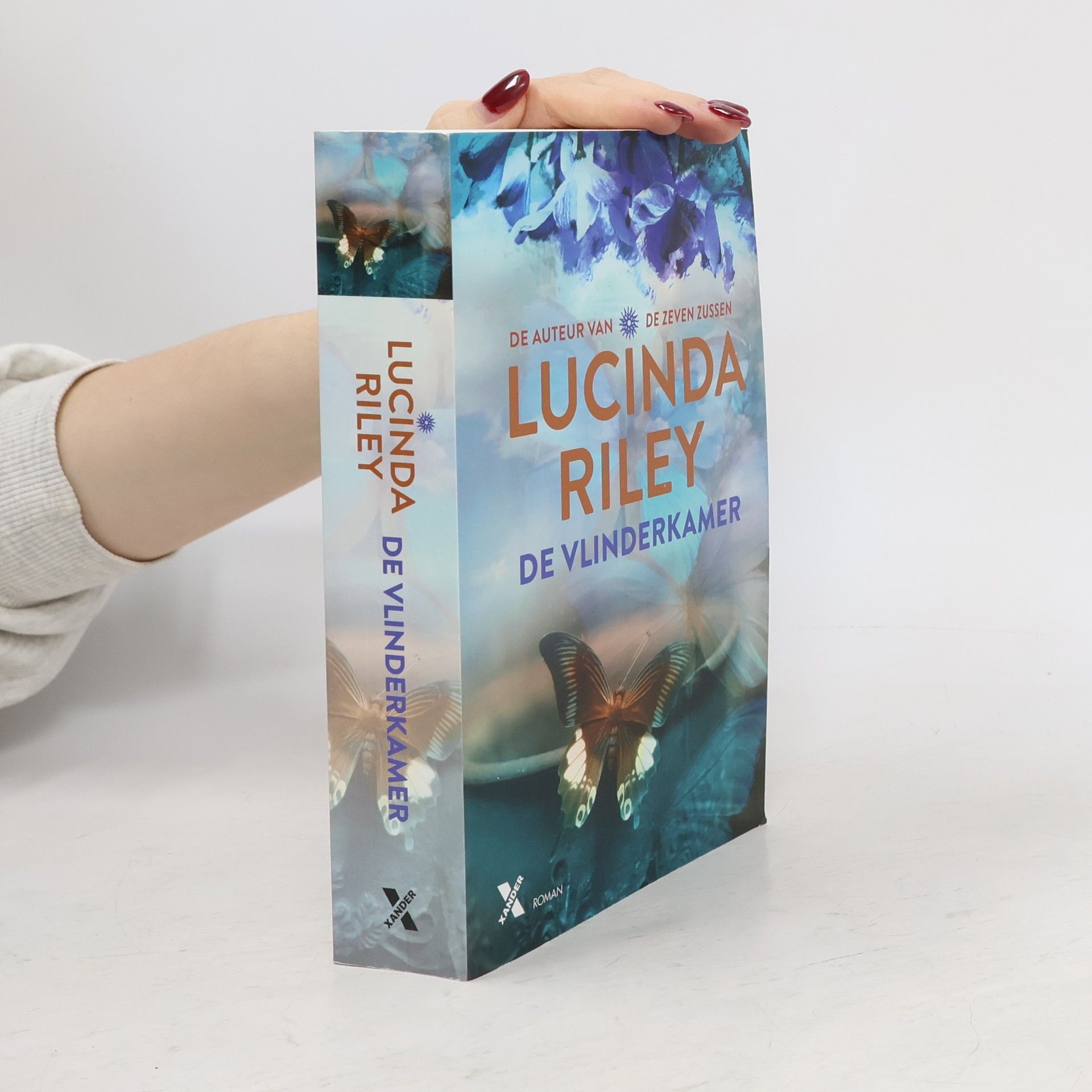 Lucinda Riley De vlinderkamer