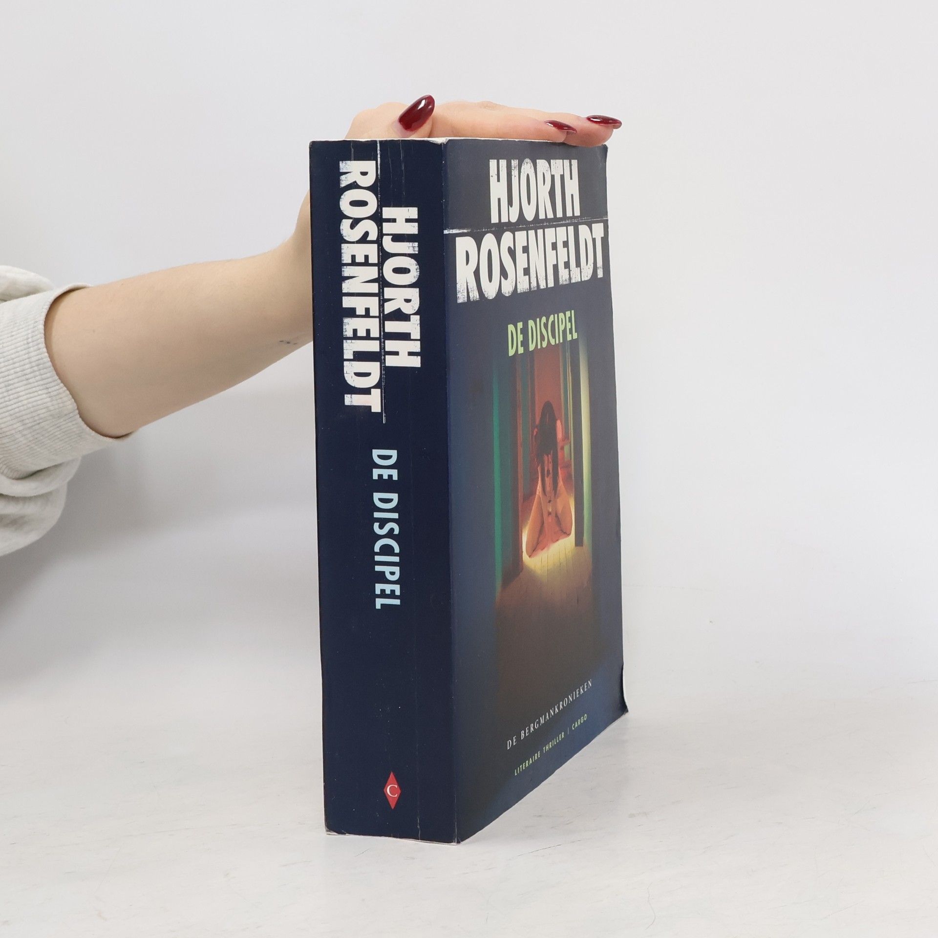 Geri de Boer De Bergmankronieken: De discipel - druk 1