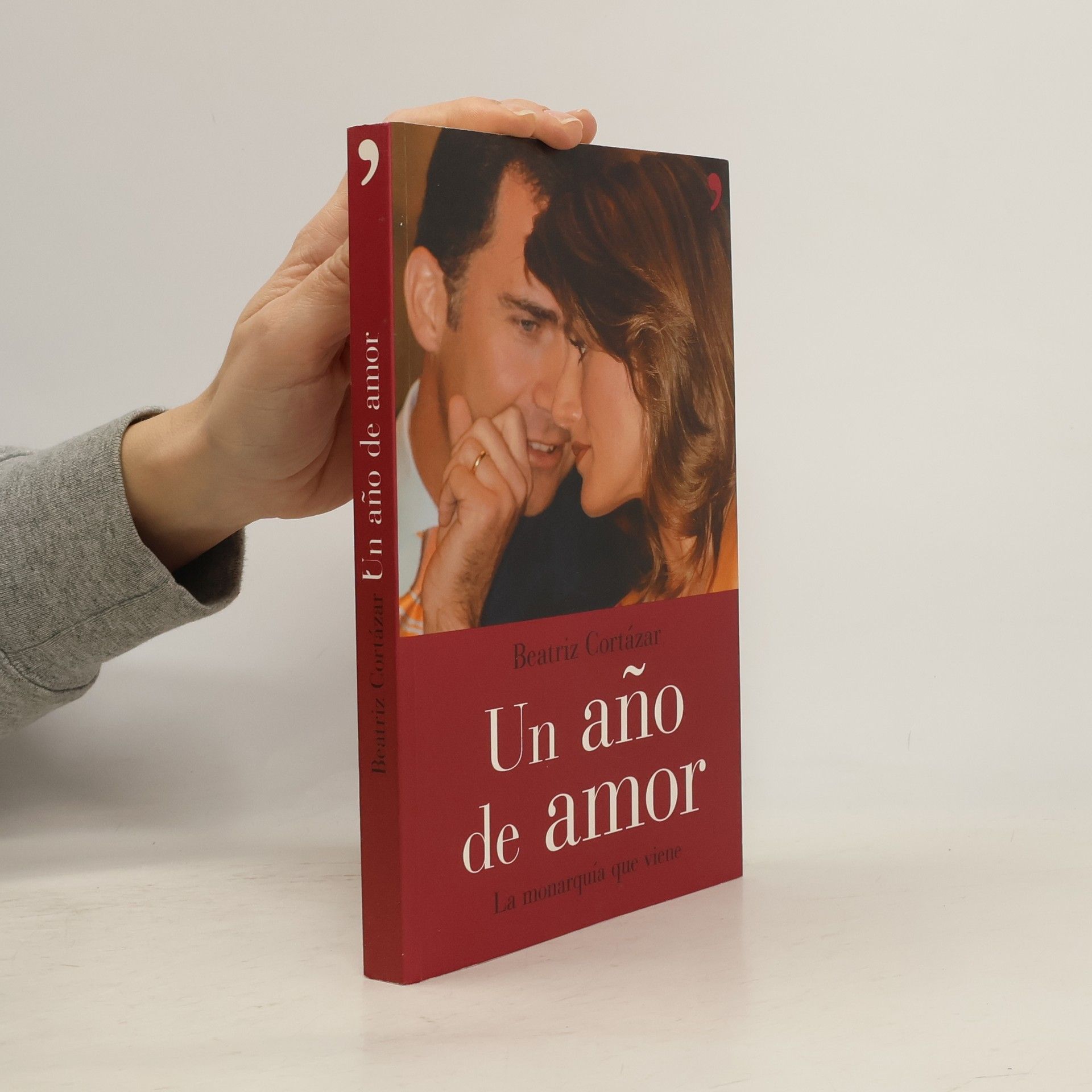 Beatriz Cortázar Un año de amor