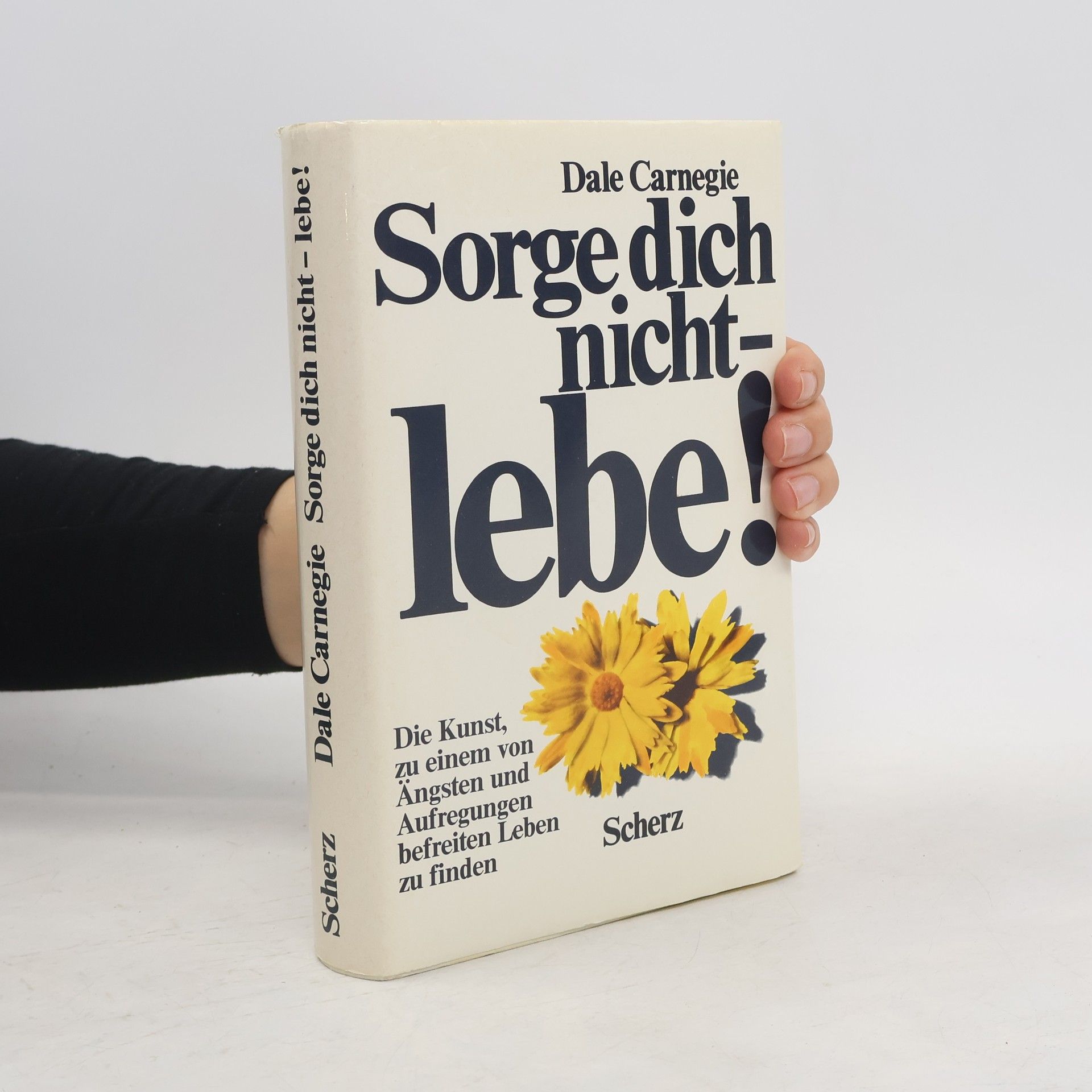 Dale Carnegie Sorge dich nicht - lebe!