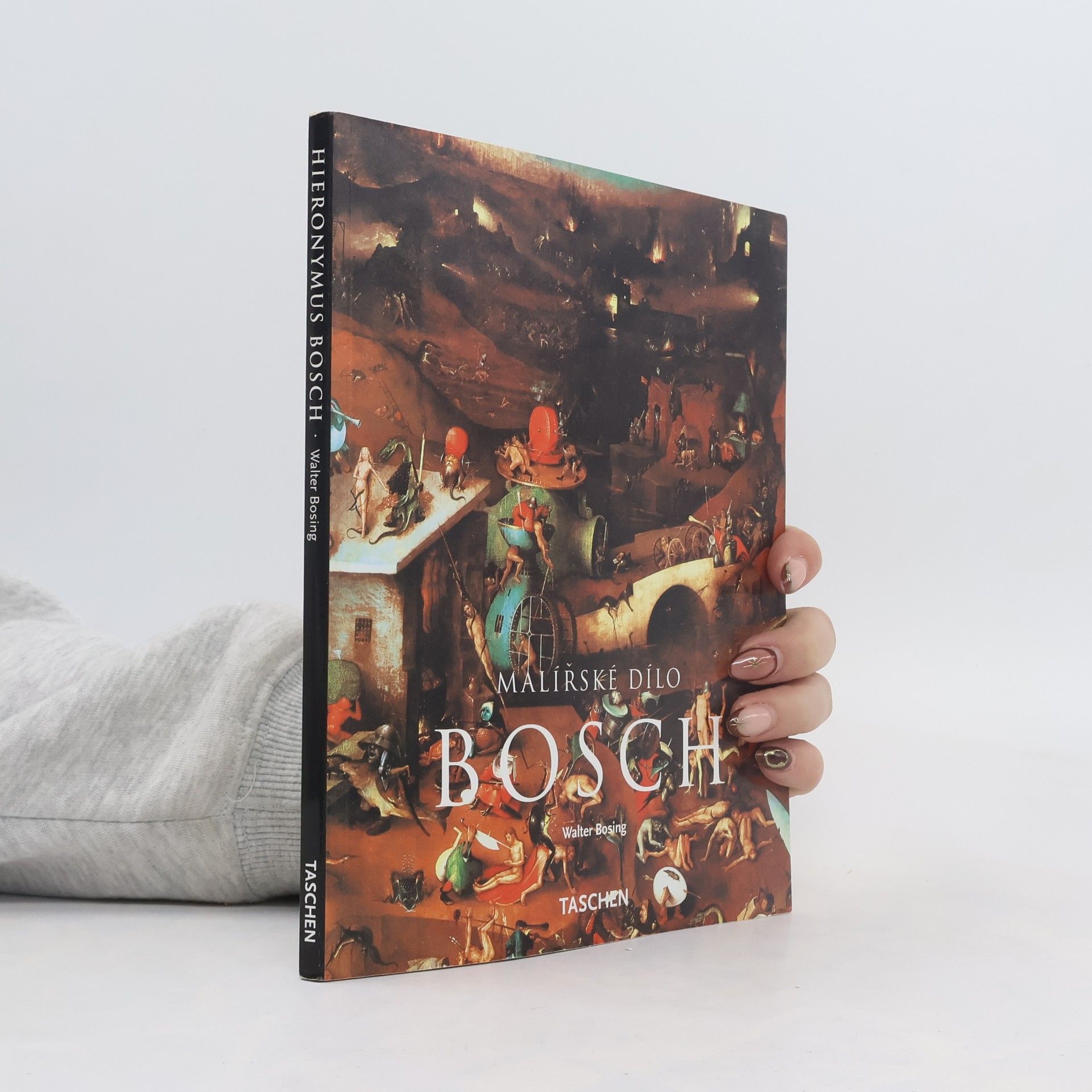 Walter Bosing Hieronymus Bosch: Kolem 1450-1516