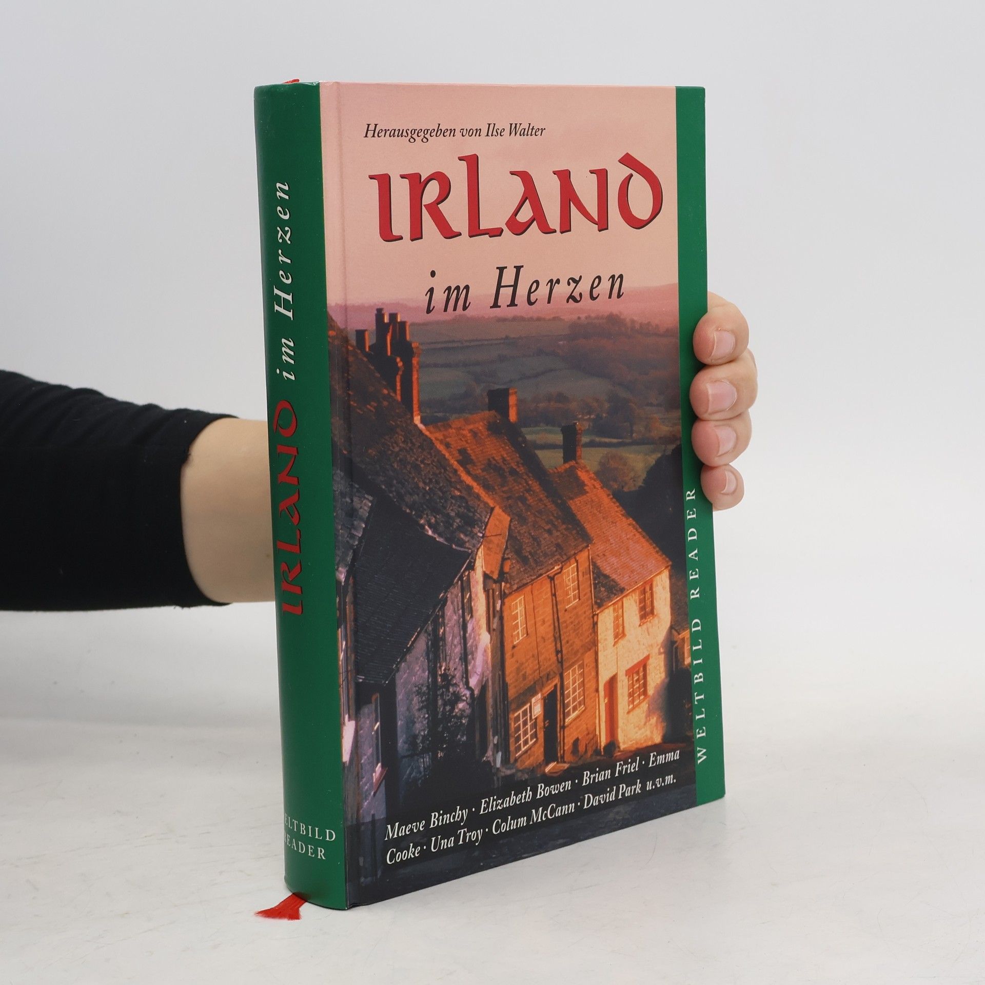AA.VV. Irland im Herzen