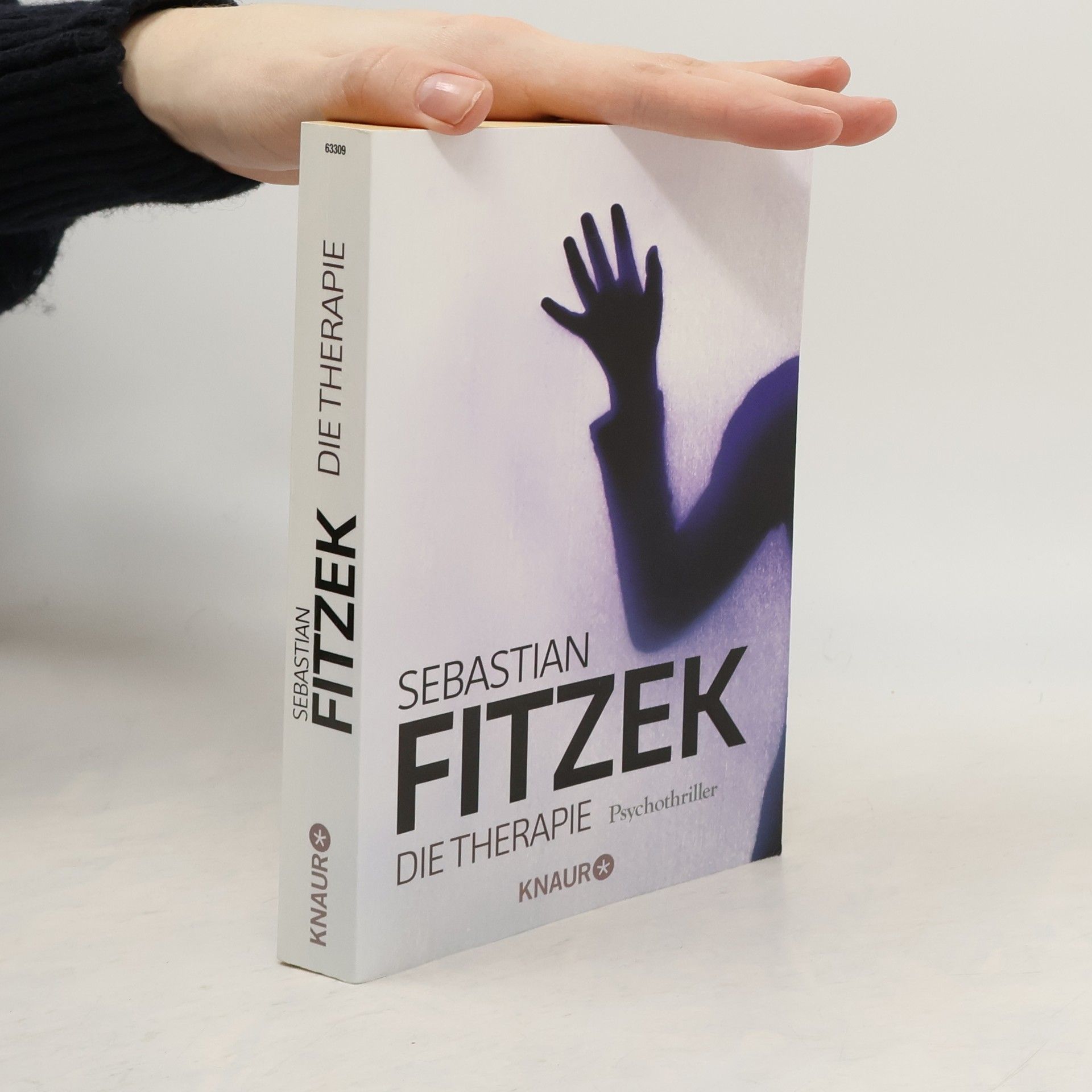 Sebastian Fitzek Die Therapie