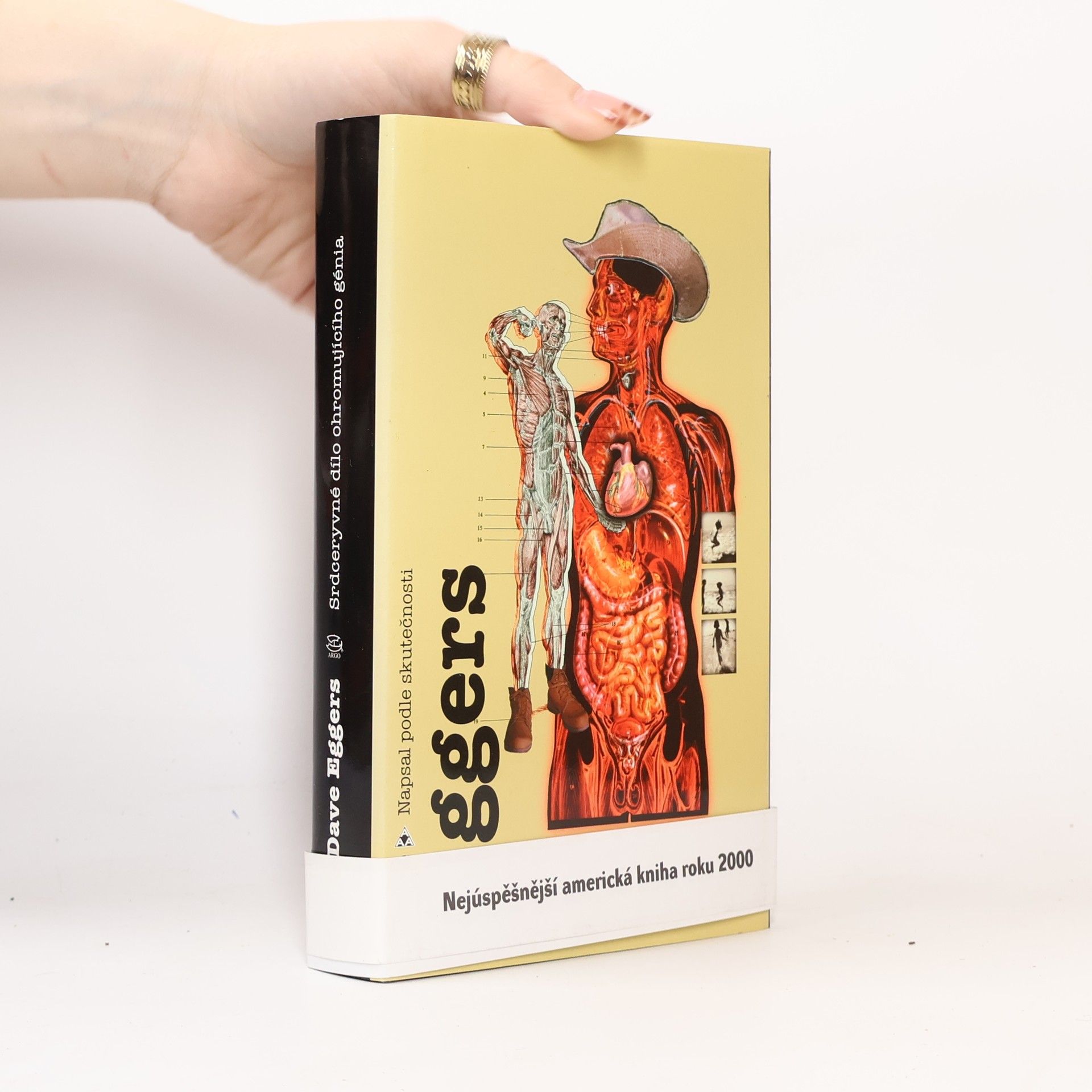 Dave Eggers Srdceryvné dílo ohromujícího génia