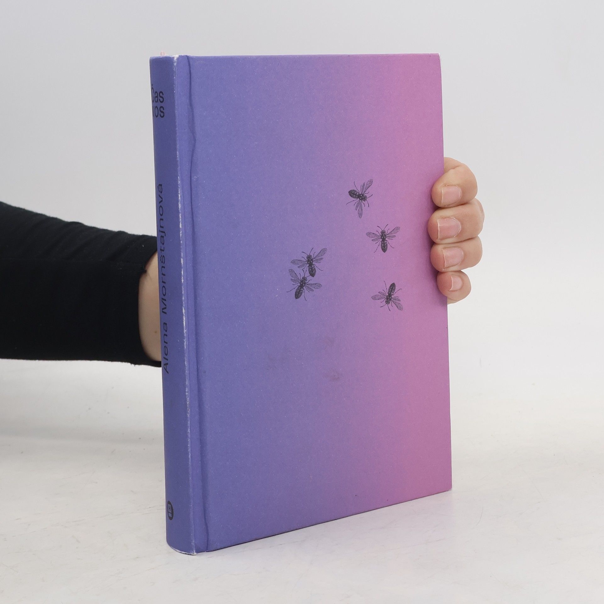 Alena Mornštajnová Čas vos