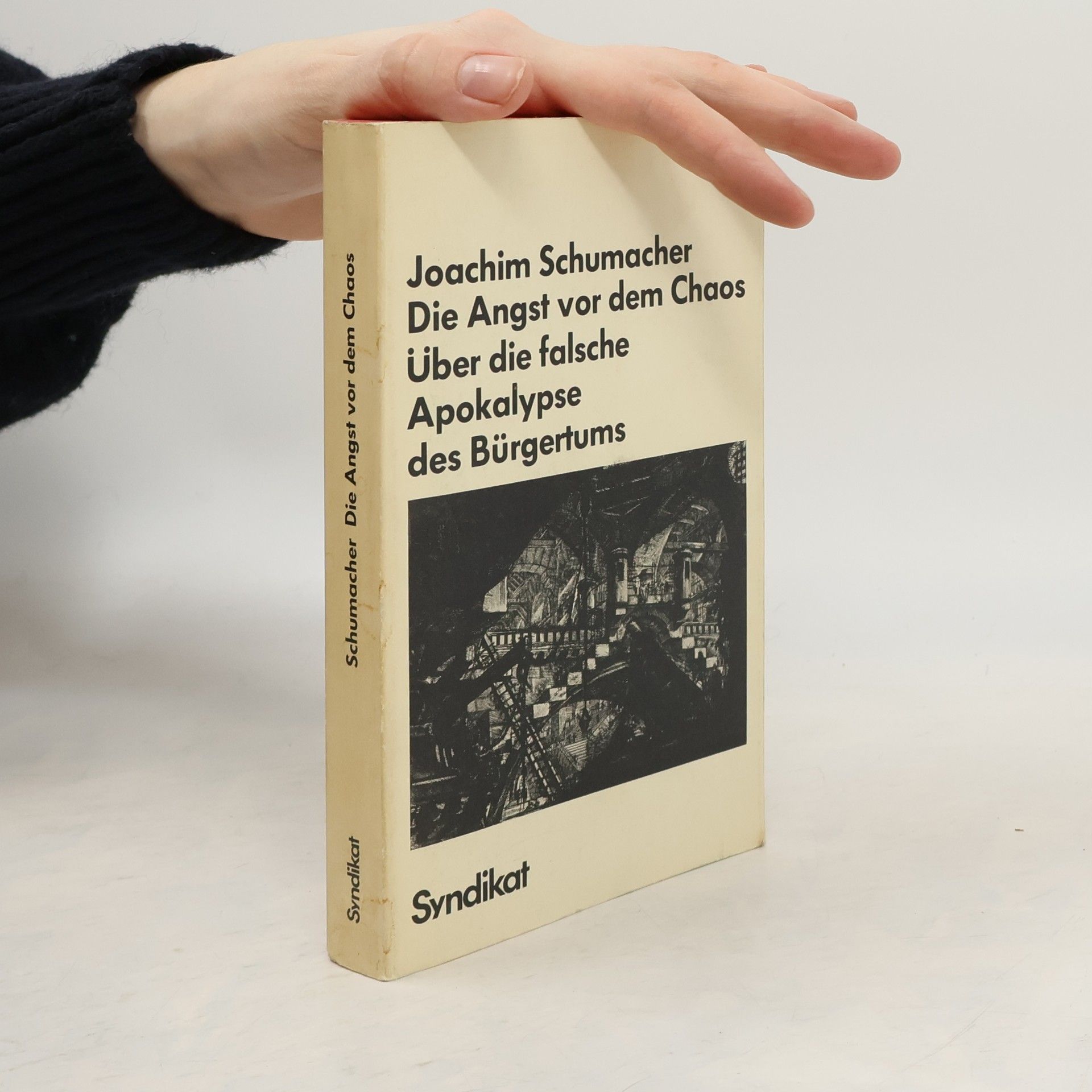 Joachim Schumacher Die Angst vor dem Chaos