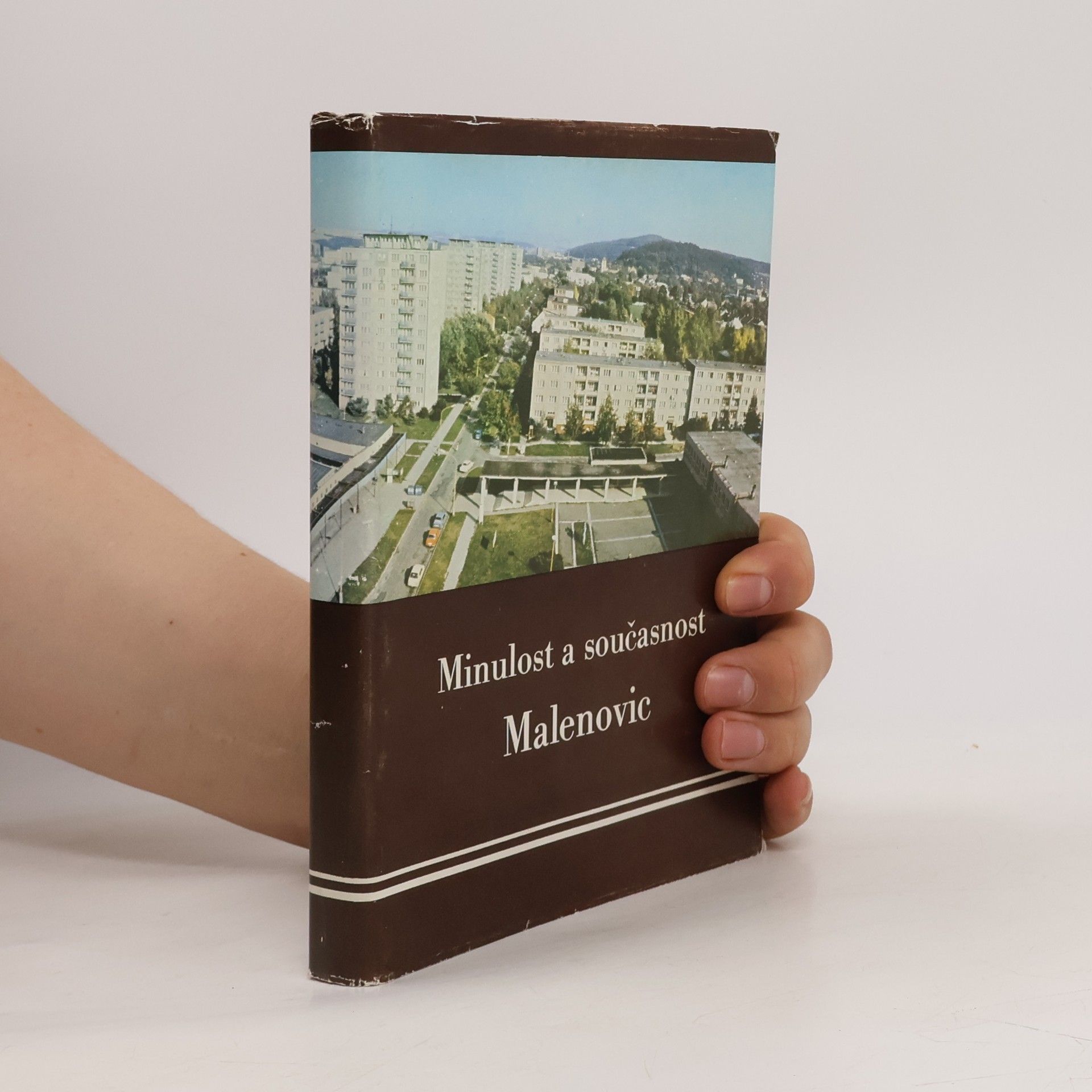 Minulost a současnost Malenovic