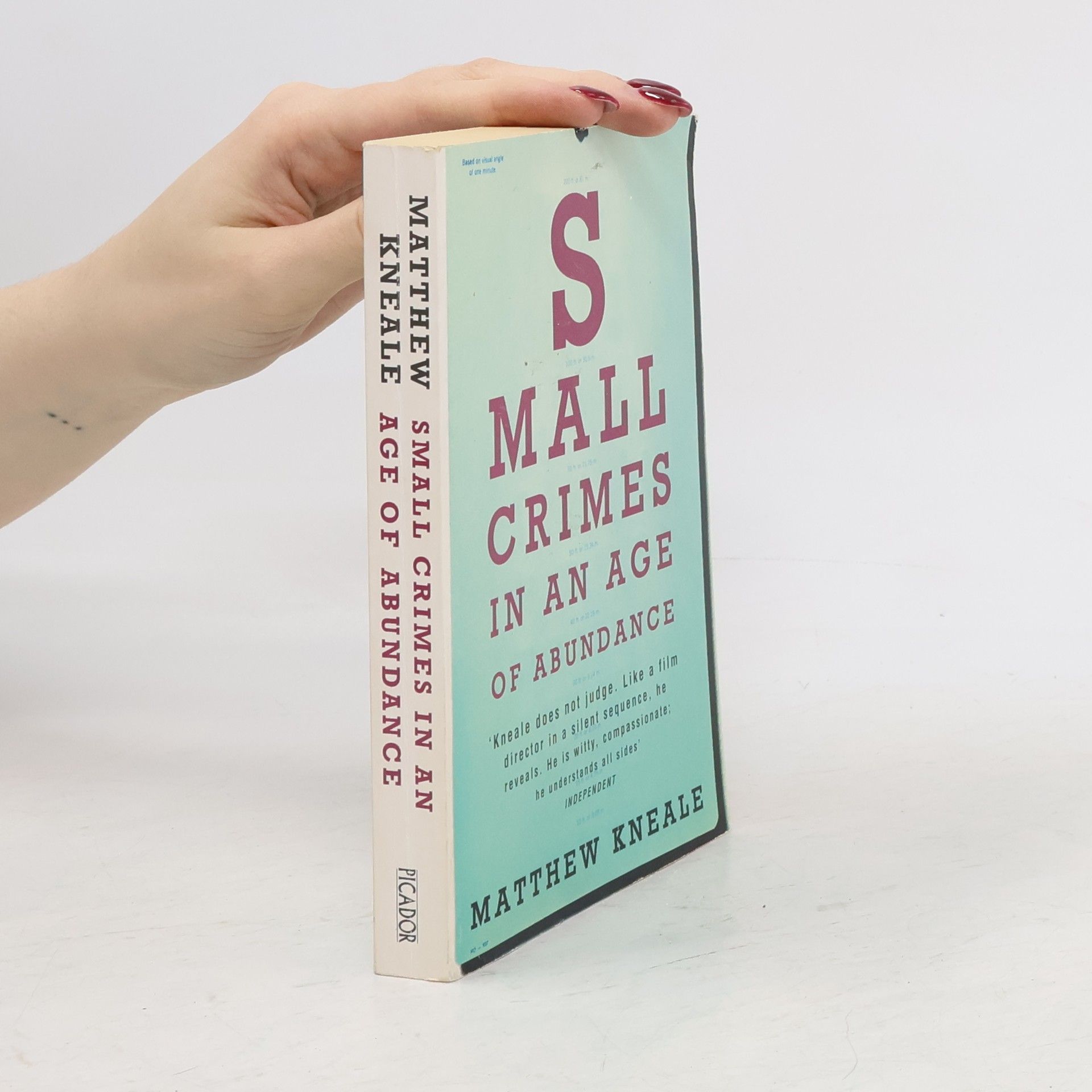 Matthew Kneale Small Crimes in an Age of Abundance