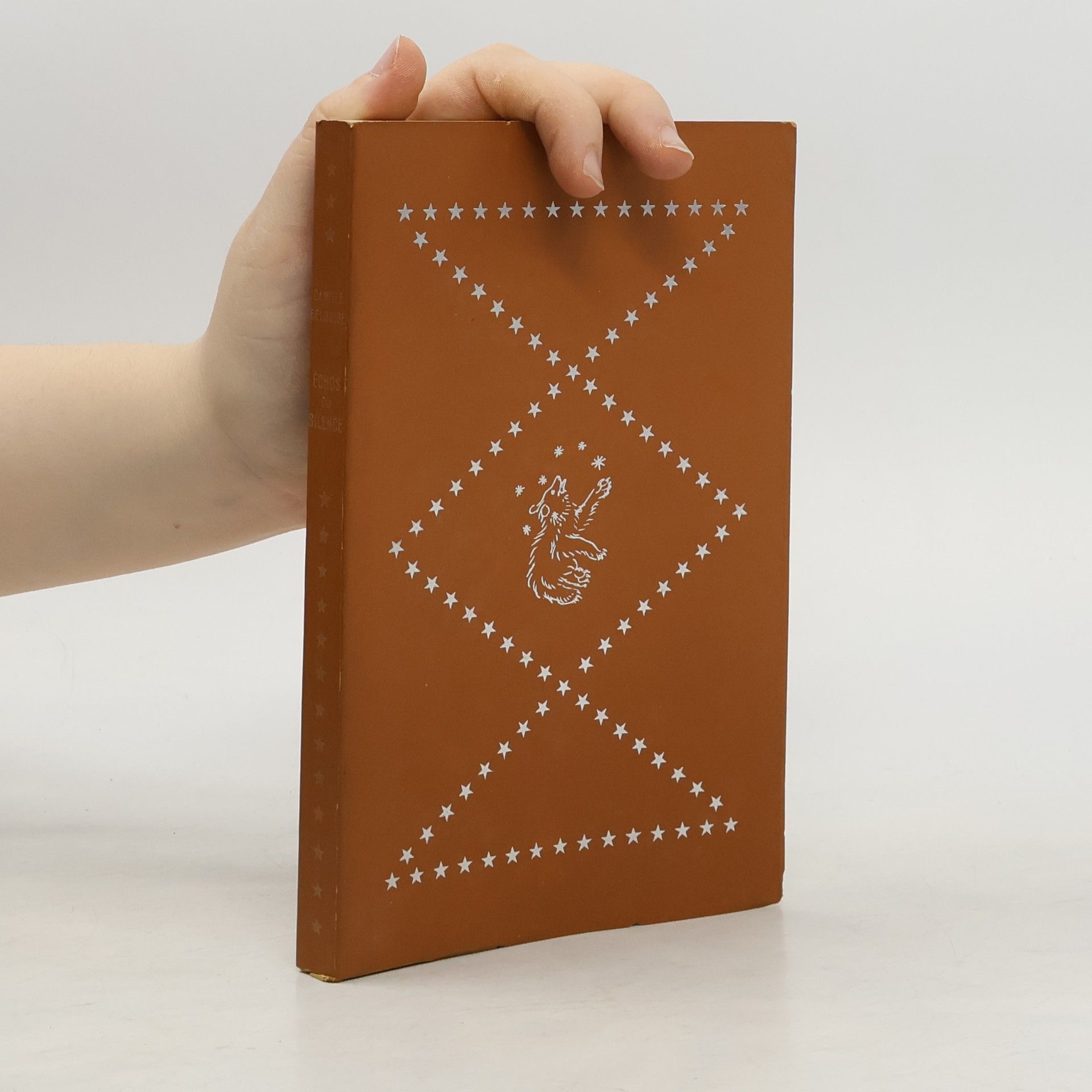 Camille Belguise Échos du silence