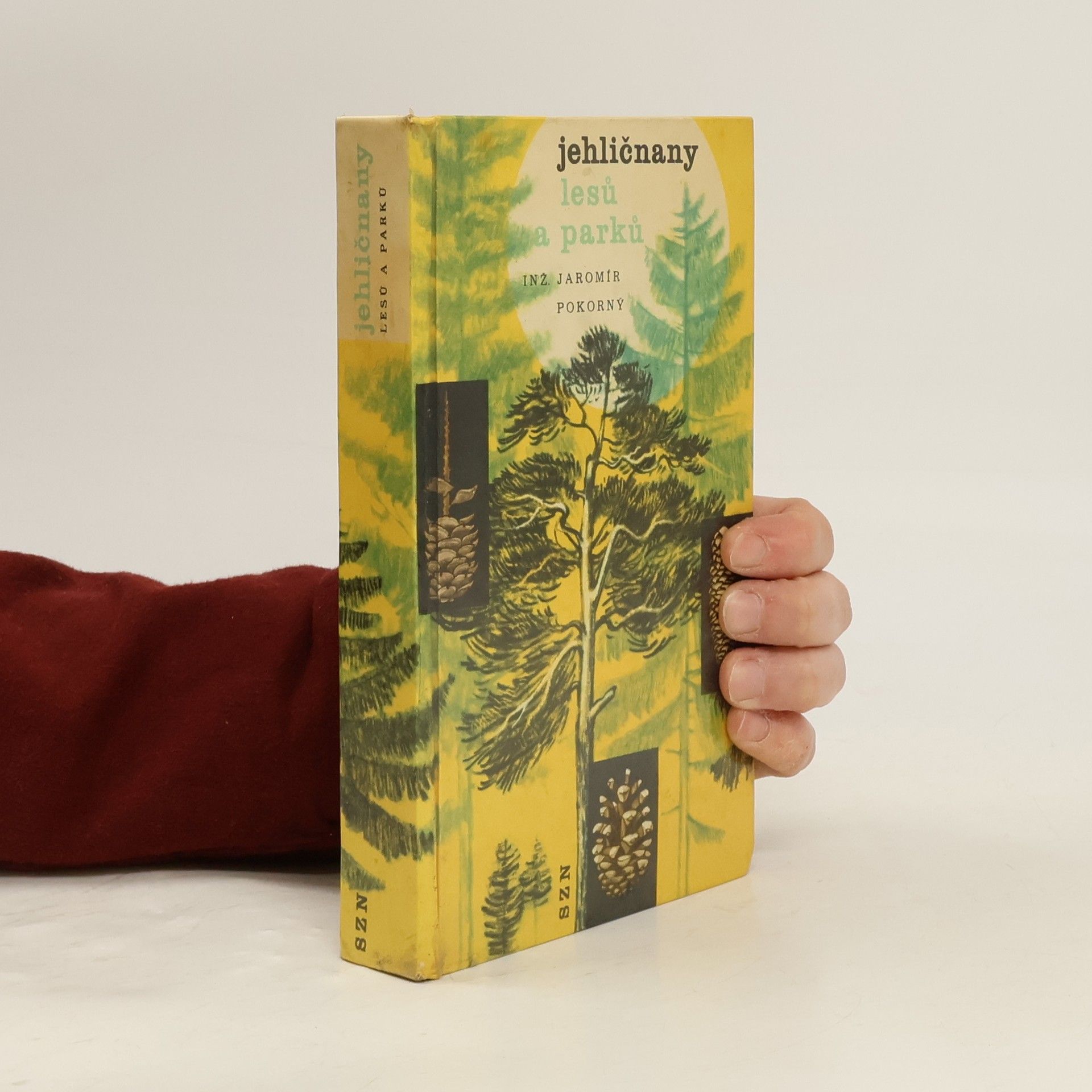 Jaromír Pokorný Jehličnany lesů a parků