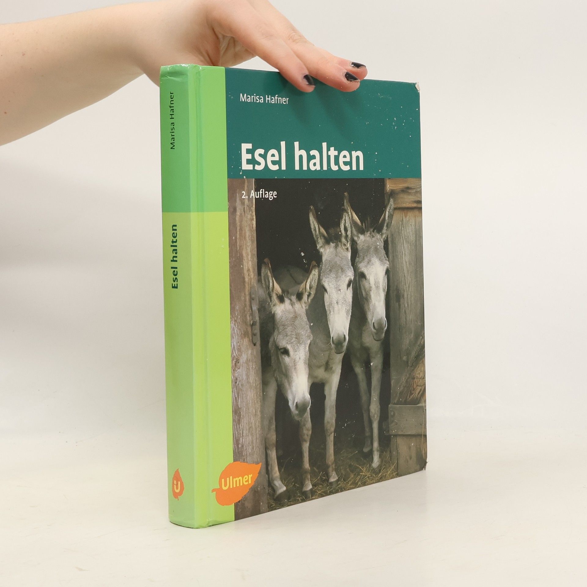 Marisa Hafner Esel halten