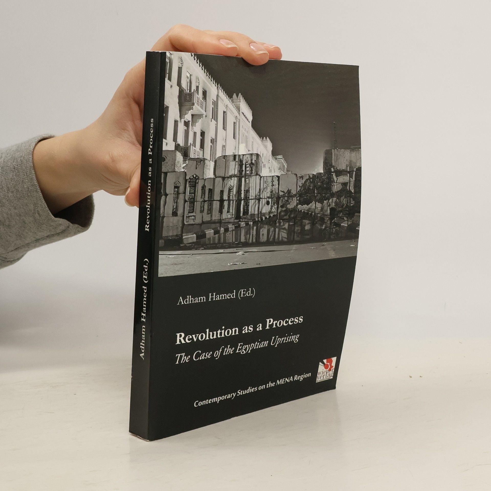 Adham Hamed Revolution as a Process