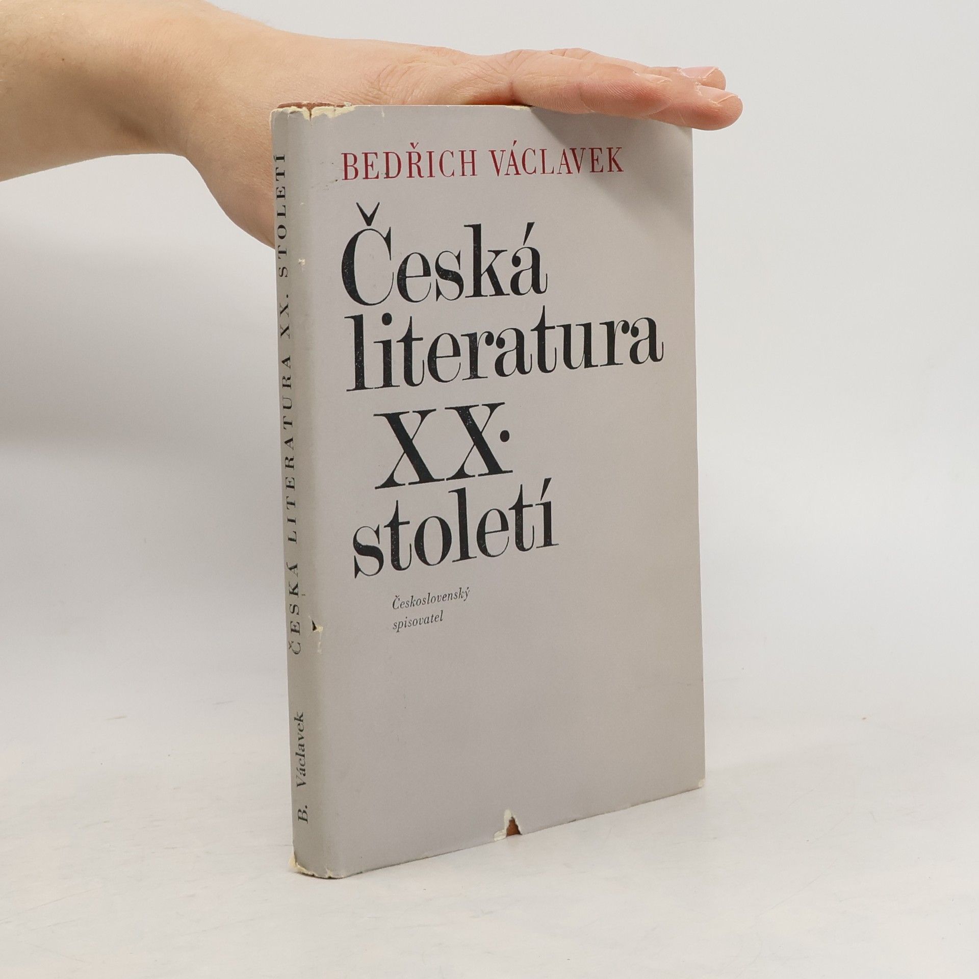 Bedřich Václavek Česká literatura XX. století
