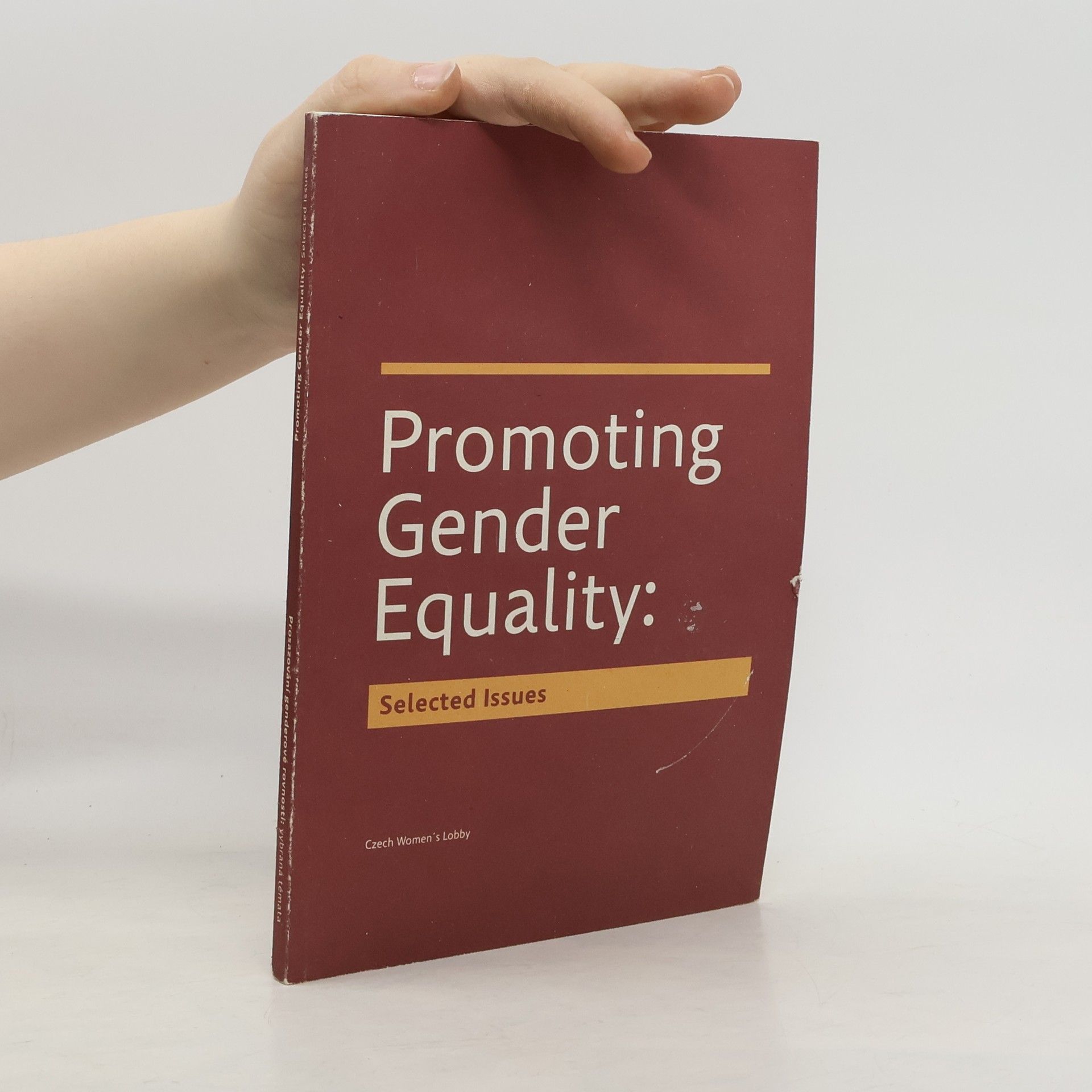 Kristýna Ciprová Promoting Gender Equality. Selected Issues