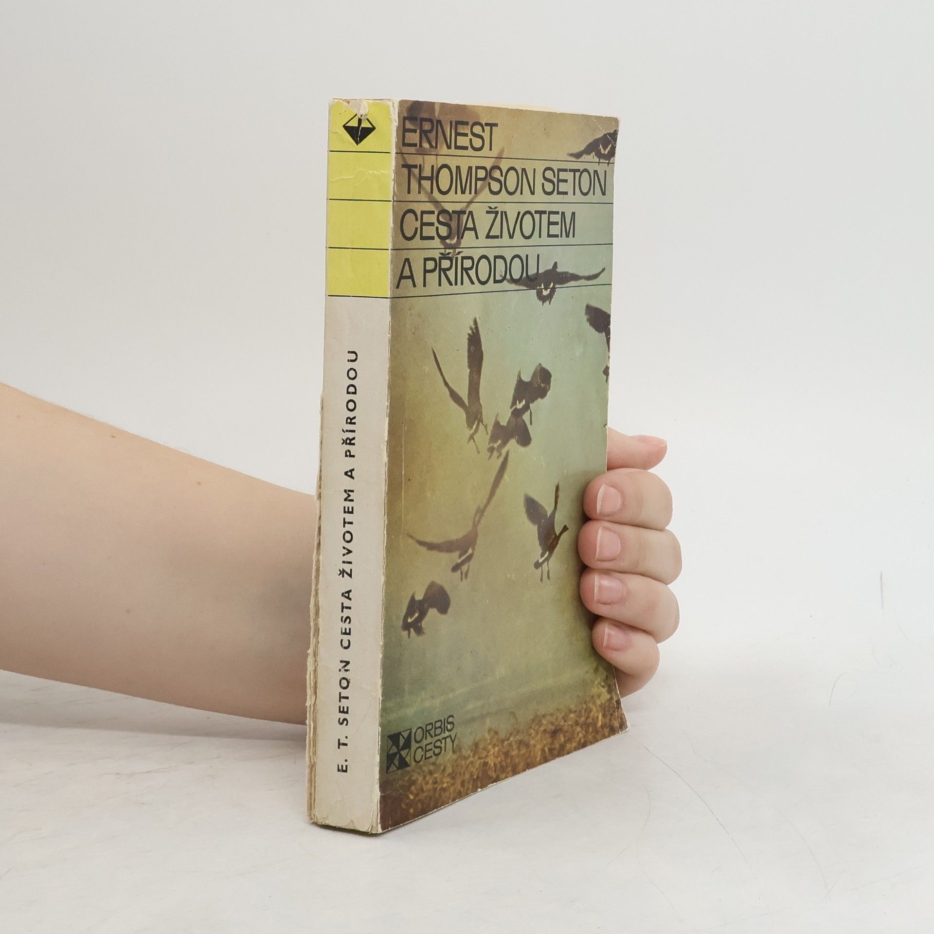 Ernest Thompson Seton Cesta životem a přírodou