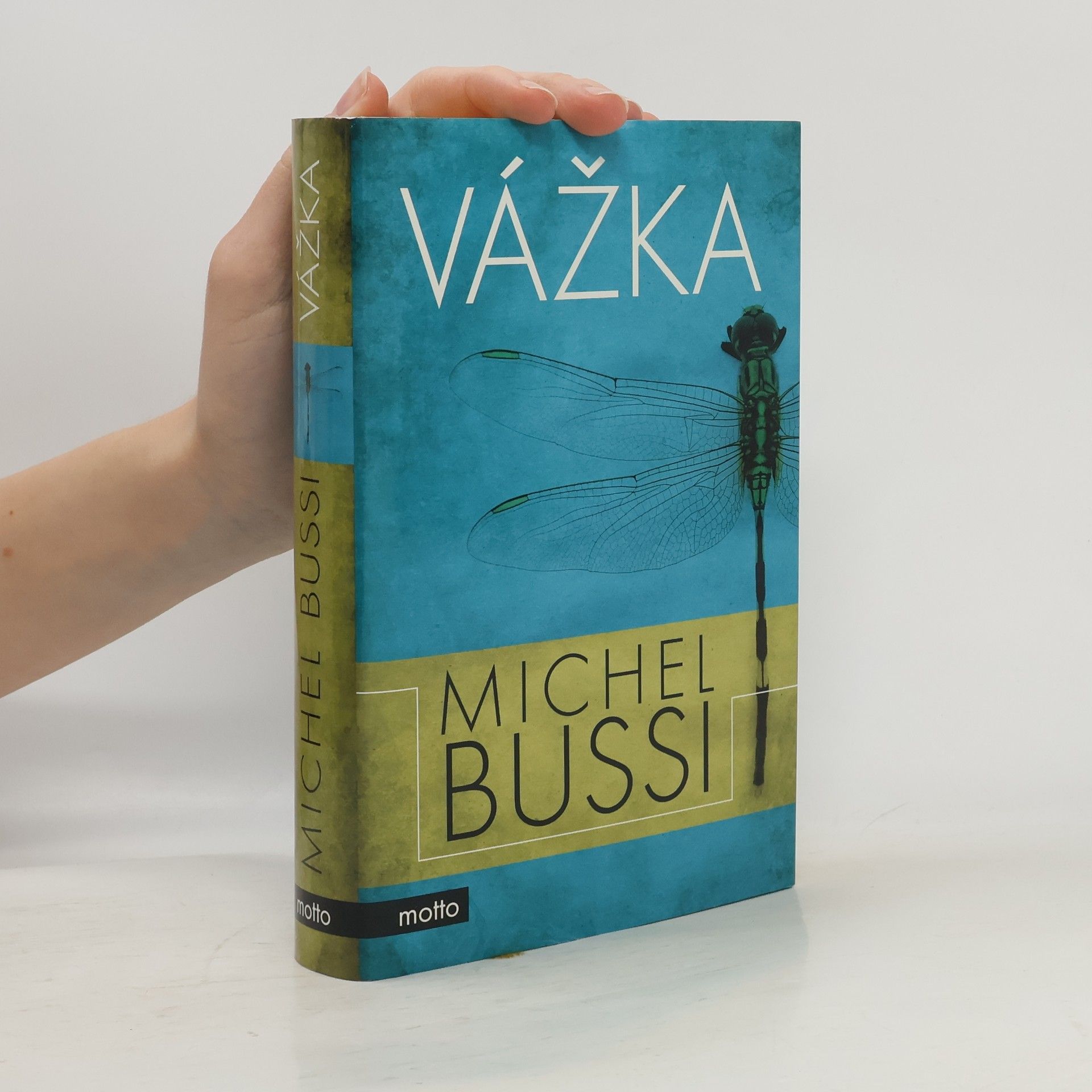 Michel Bussi Vážka