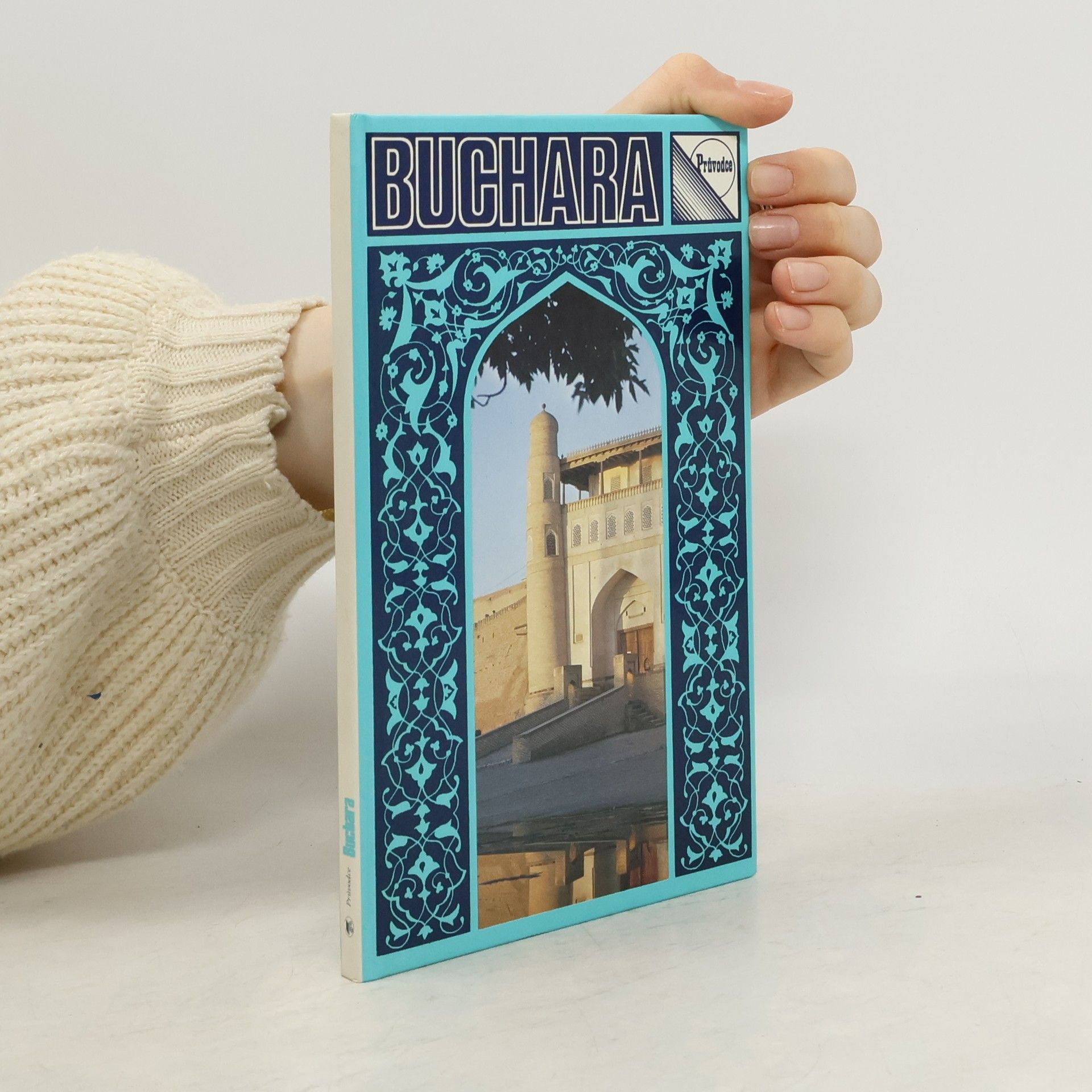 Vladimir Tjurikov Buchara. Průvodce