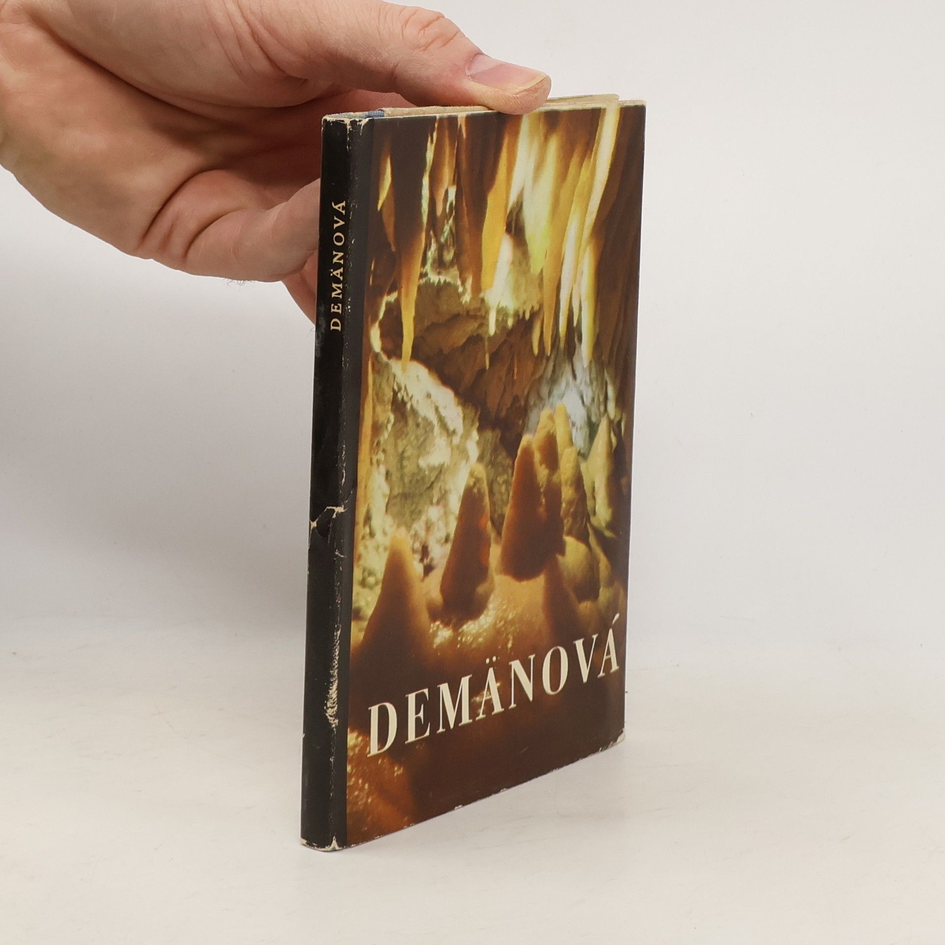 Ján Hajduch Demänová