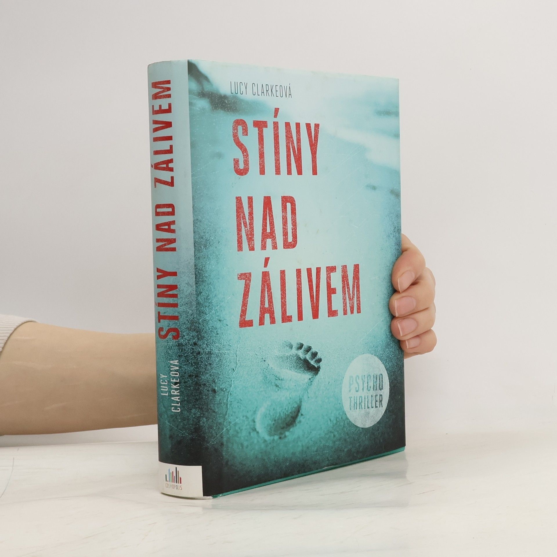 Lucy Clarke Stíny nad zálivem